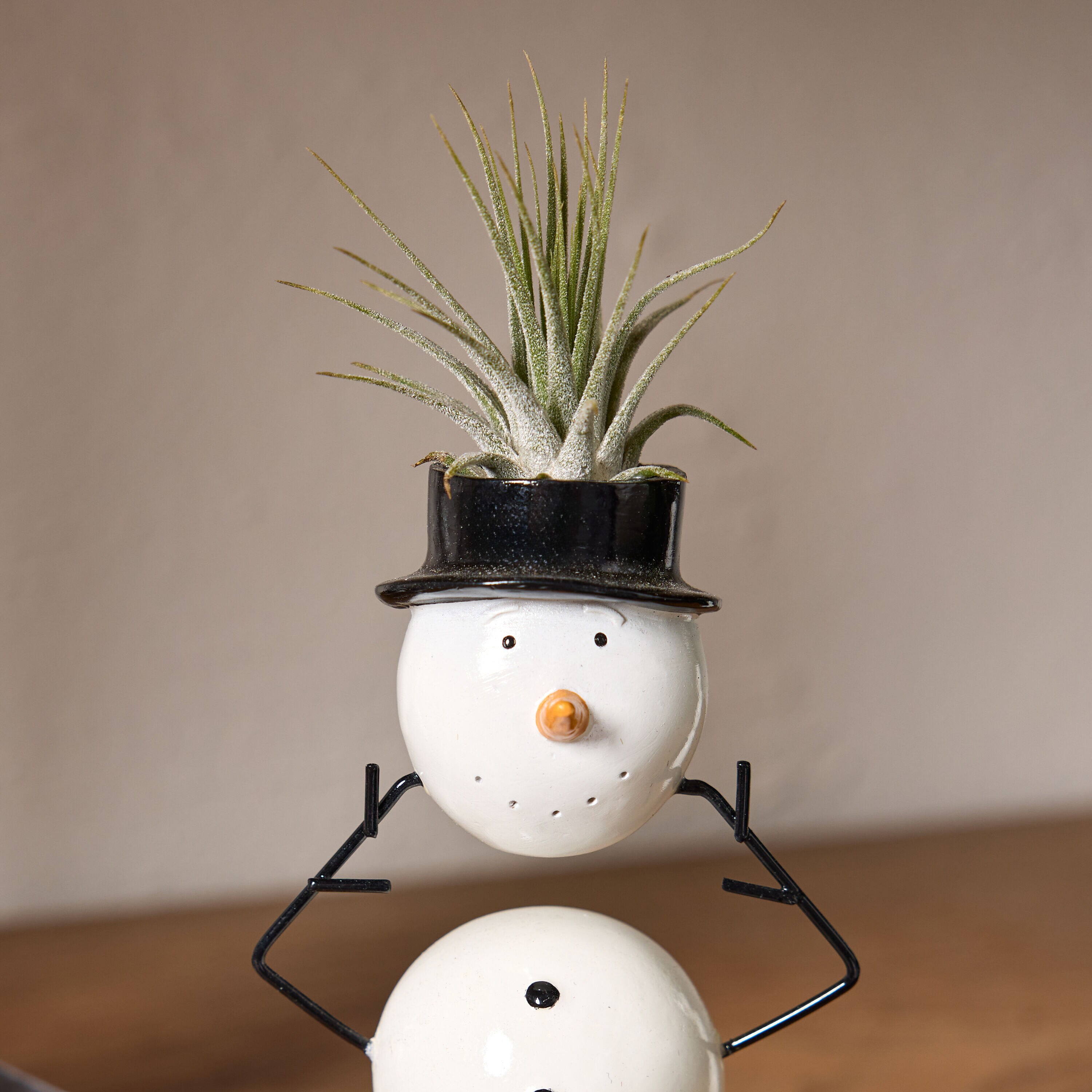 LiveTrends ASB08934 hseplants - View #4