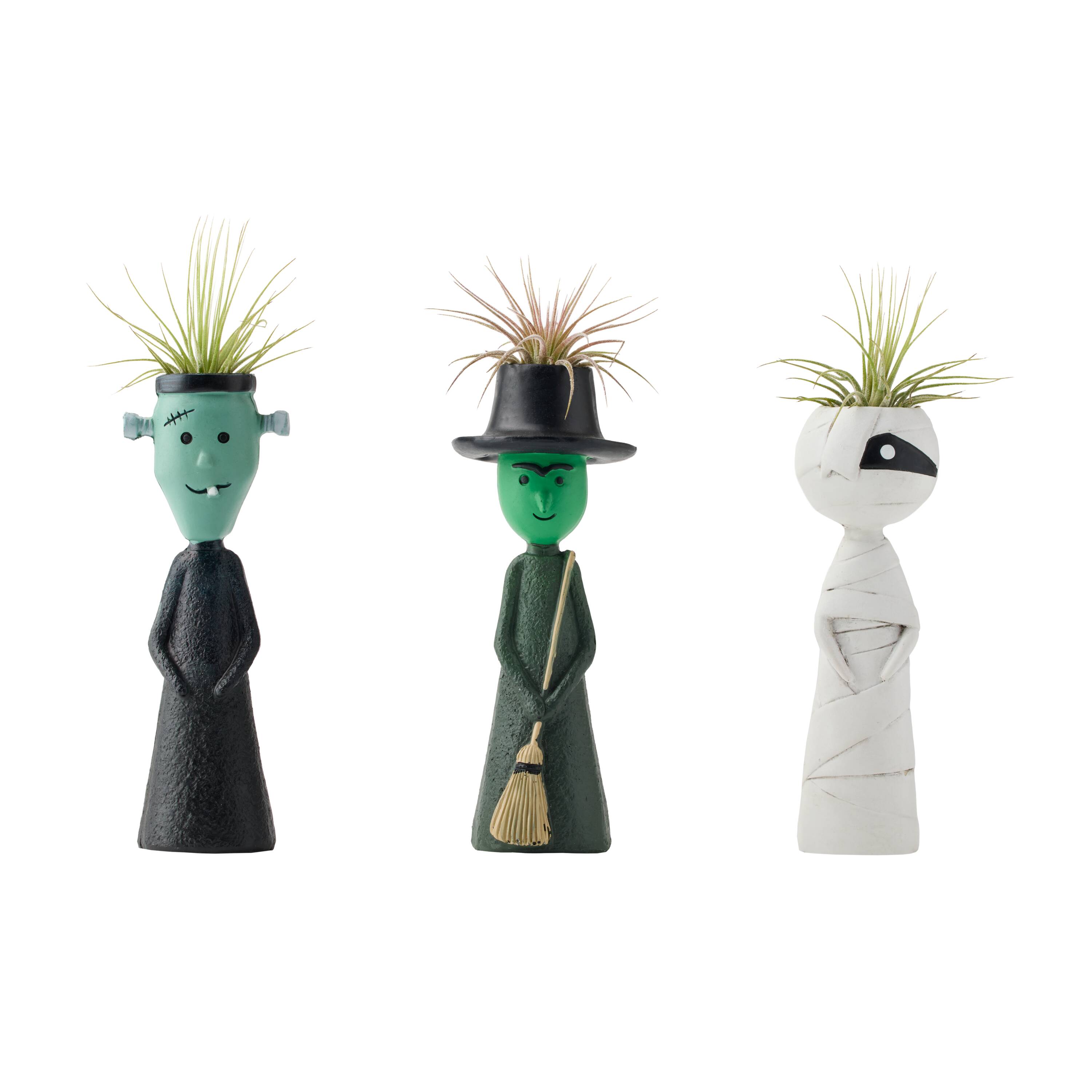 LiveTrends - Jeepers Creepers Ceramic Air Plant Figurine - Tillandsia Brachycaulos House plant in...