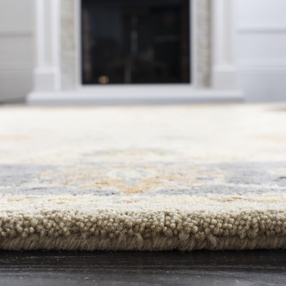 Safavieh AN561A-6R rugs - View #6