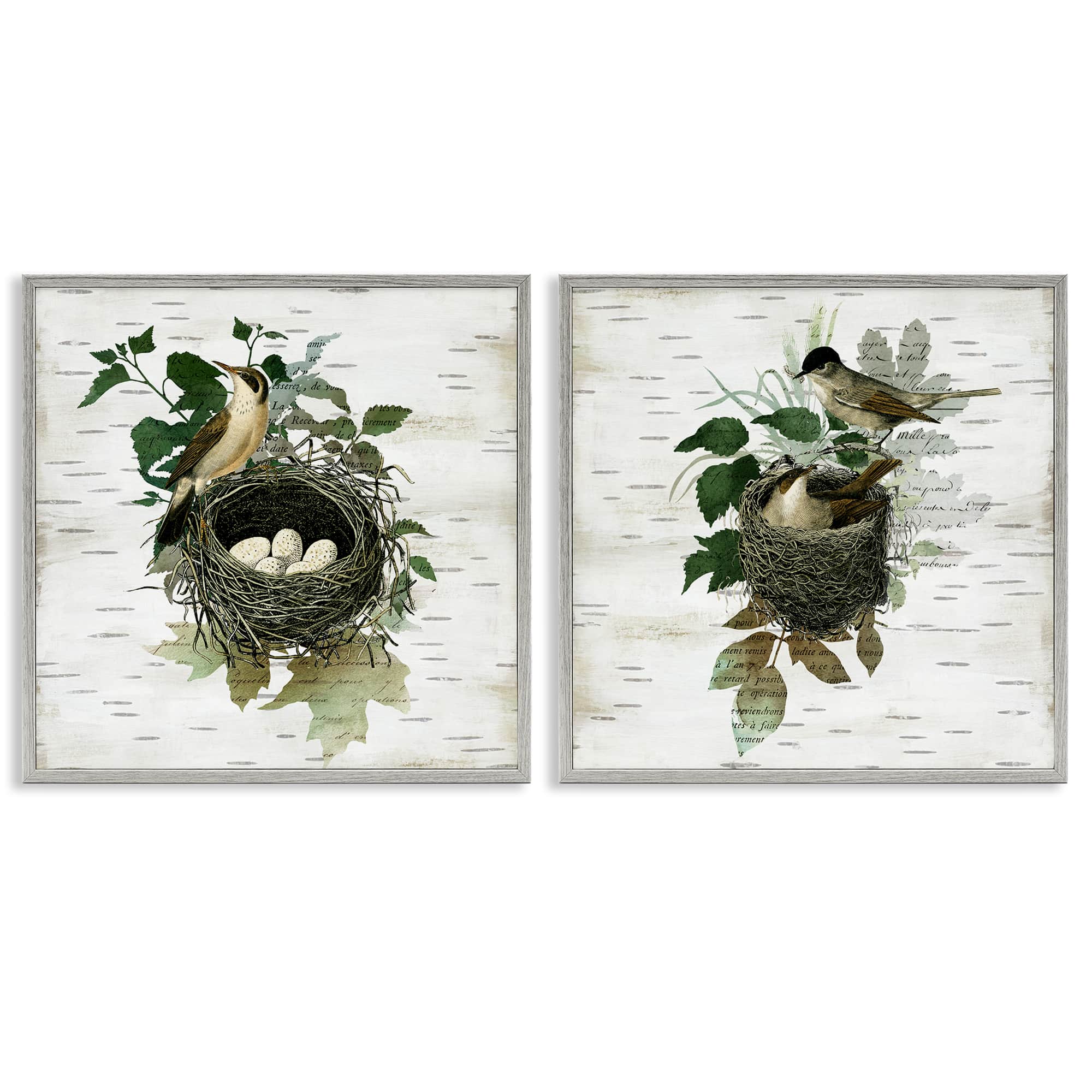 Stupell Industries B2-749-GFF-2PC-17X17 Rustic Vintage Bird Nests 2 Piece Gray Framed Giclee Art Set By Susan Arnot 17 x 17