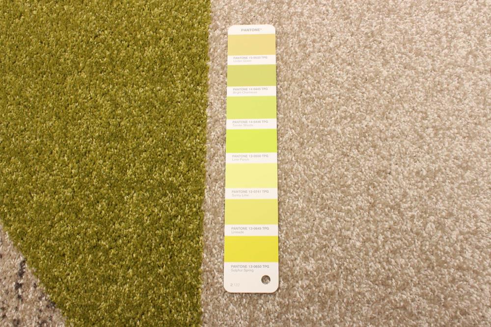 ECARPETGALLERY 345681 rugs - View #8
