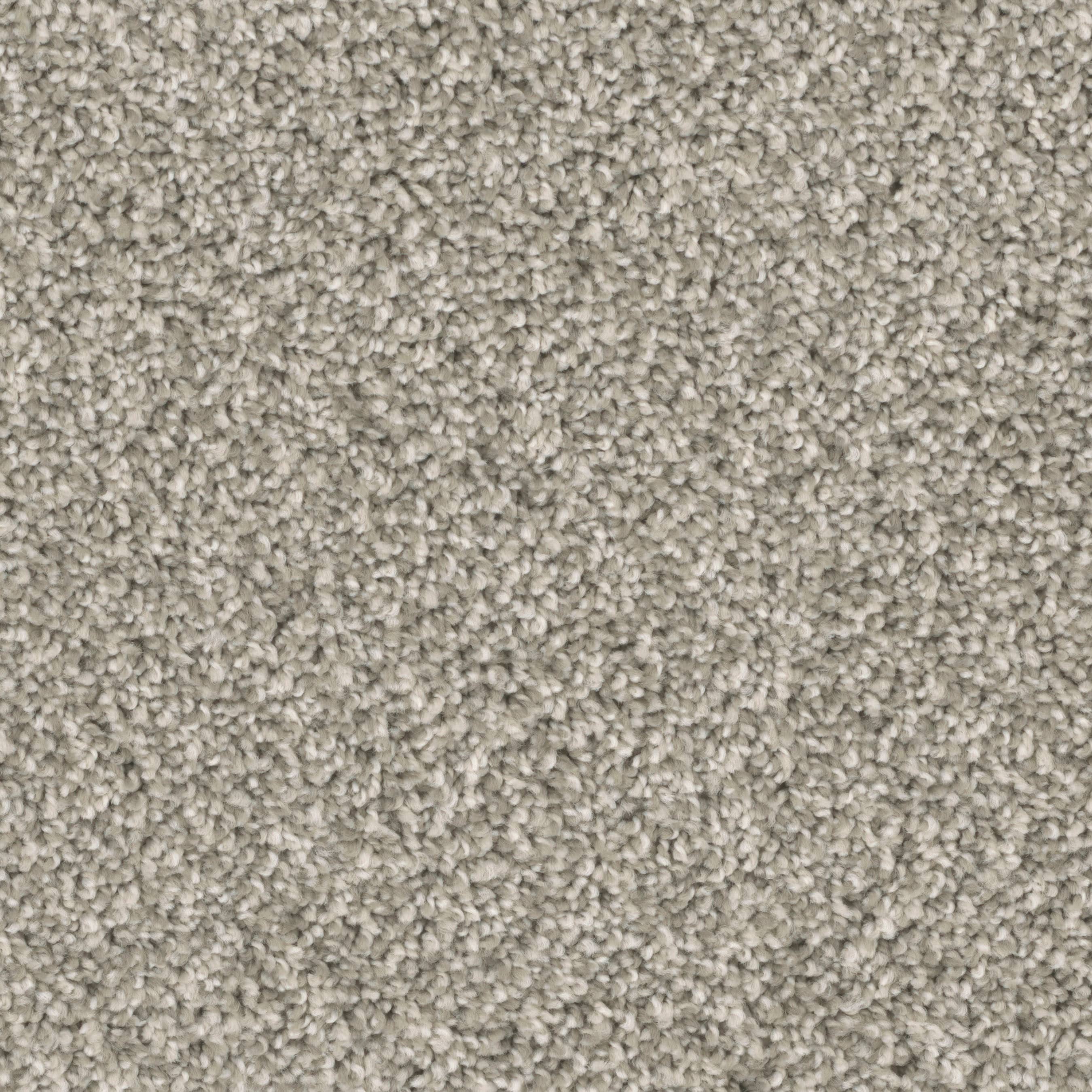 STAINMASTER PetProtect S9355-933-1200-MO Druid Hills I Legacy Multi-Colored 55-oz sq yard Nylon Textured Indoor Carpet