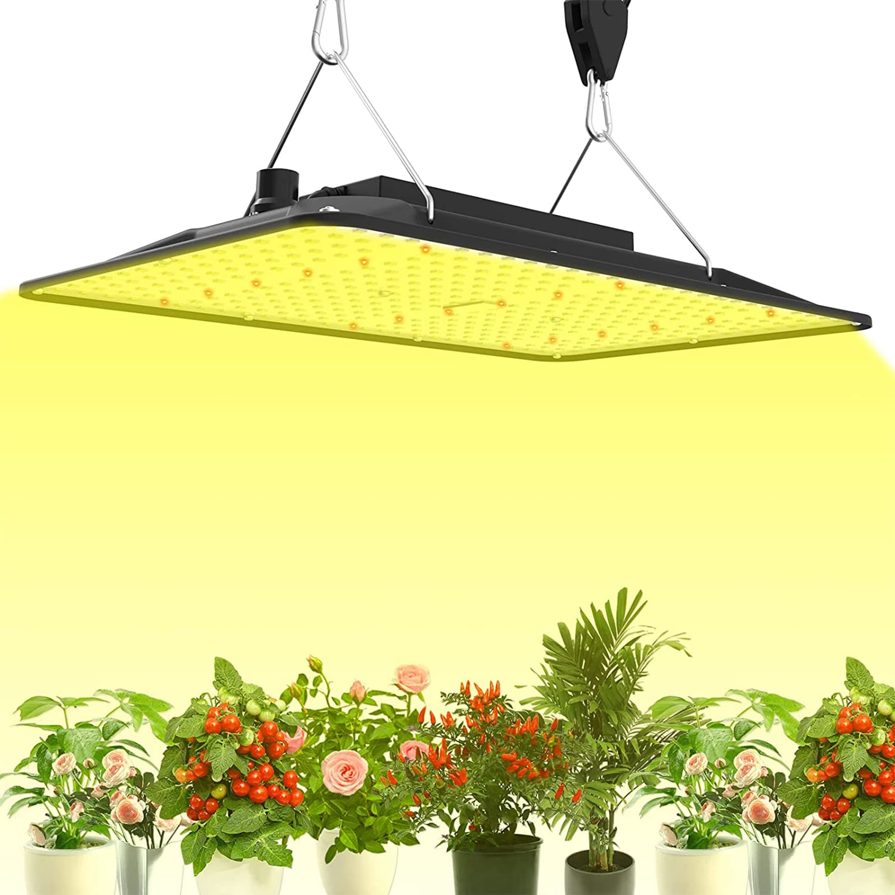 Boeka Arcturus 14in 1Light Black Full Spectrum LED Grow Light Kit in