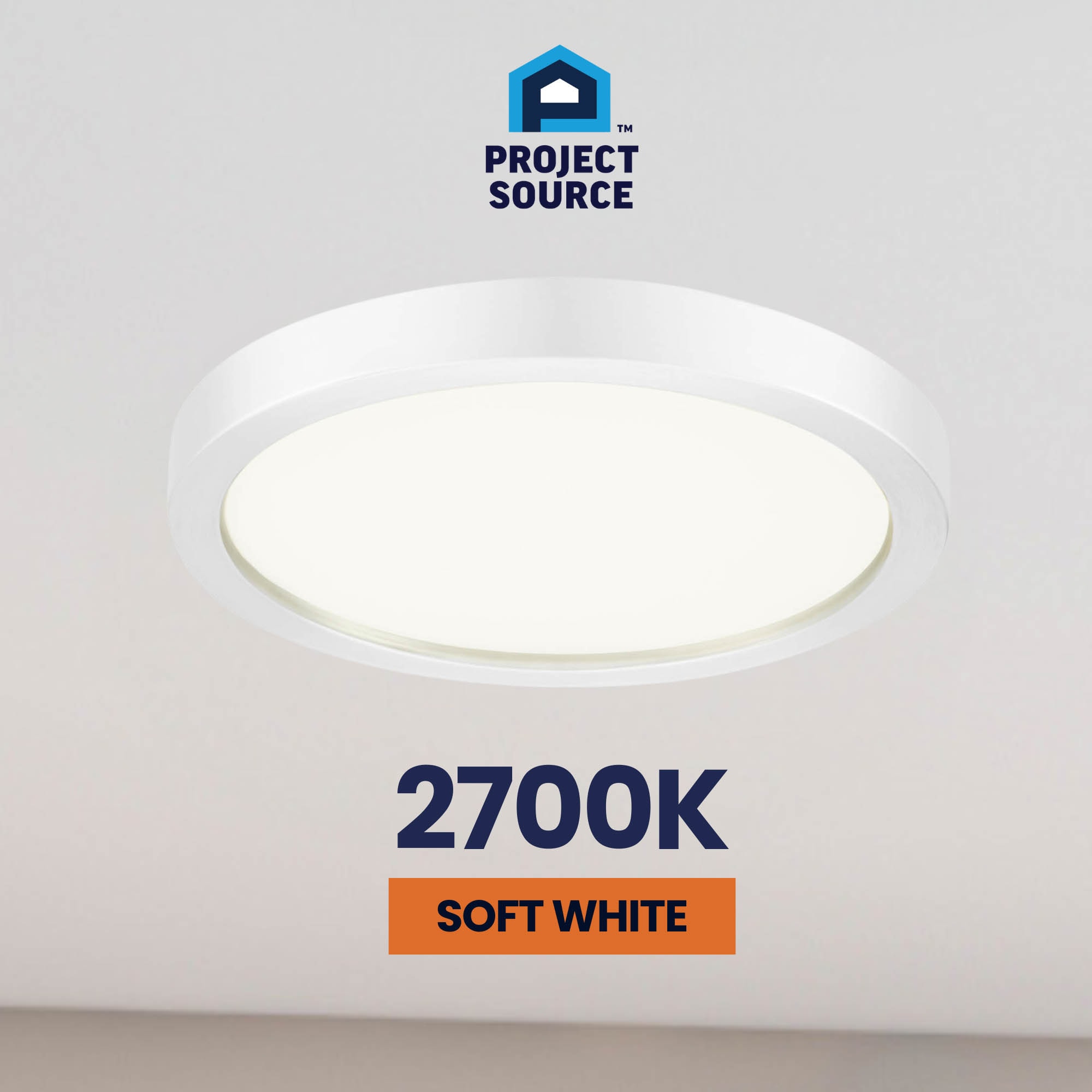 Project Source 43540 flushmounts - View #11