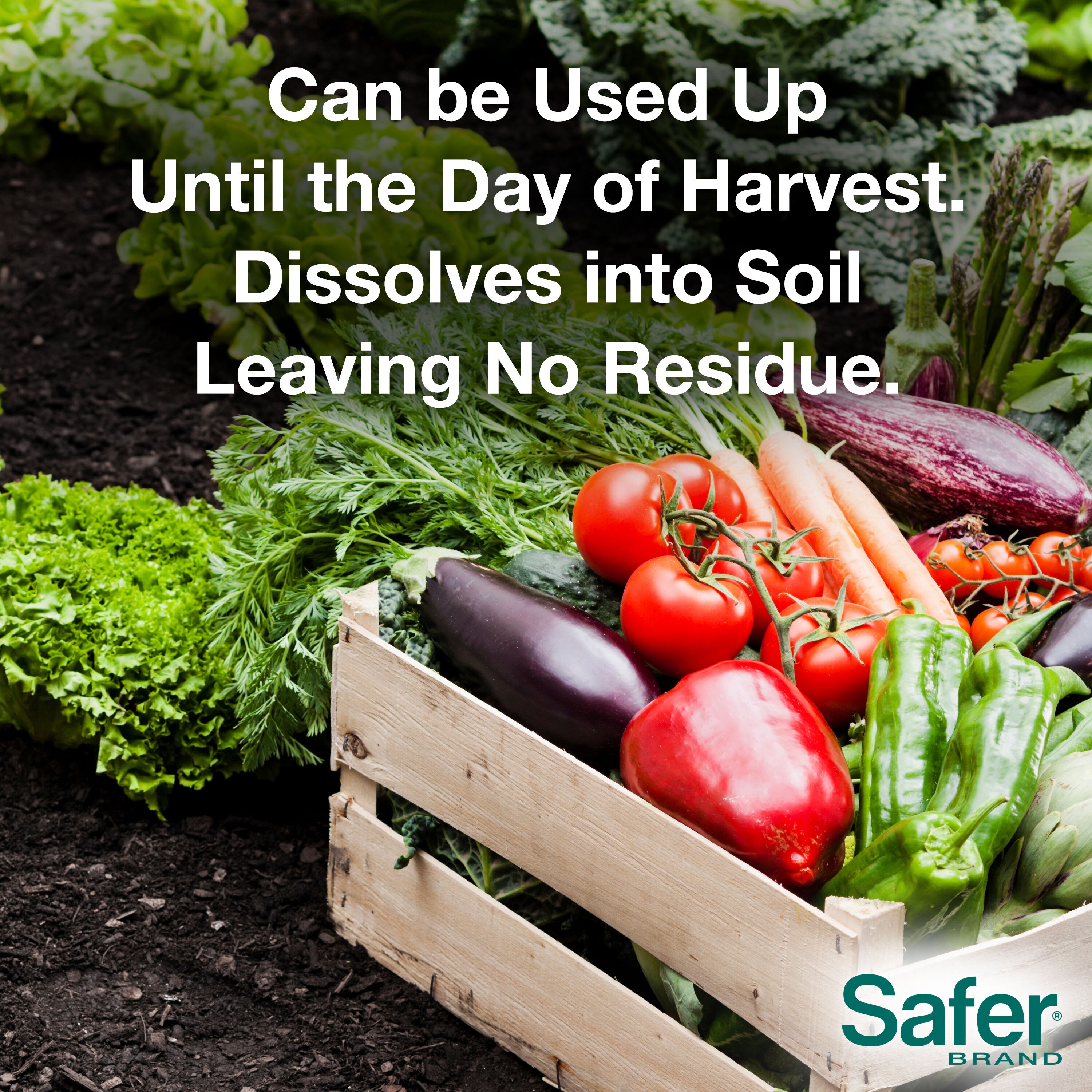 Safer® Brand - Organic Gardening & Pest Control Products