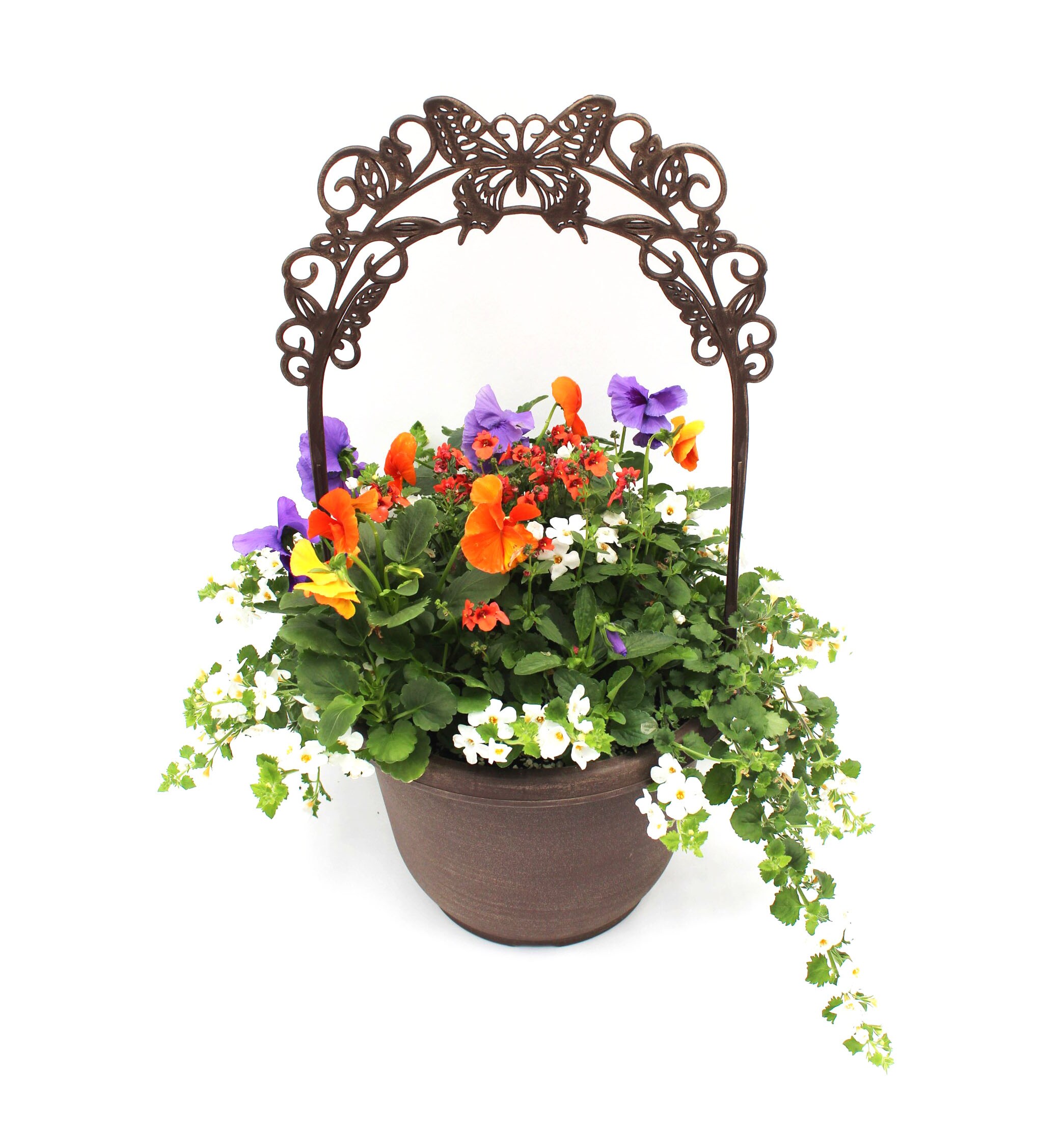 Lowe's NURSERY Multicolor Mixed Annuals Combinations in 3-Gallon Planter
