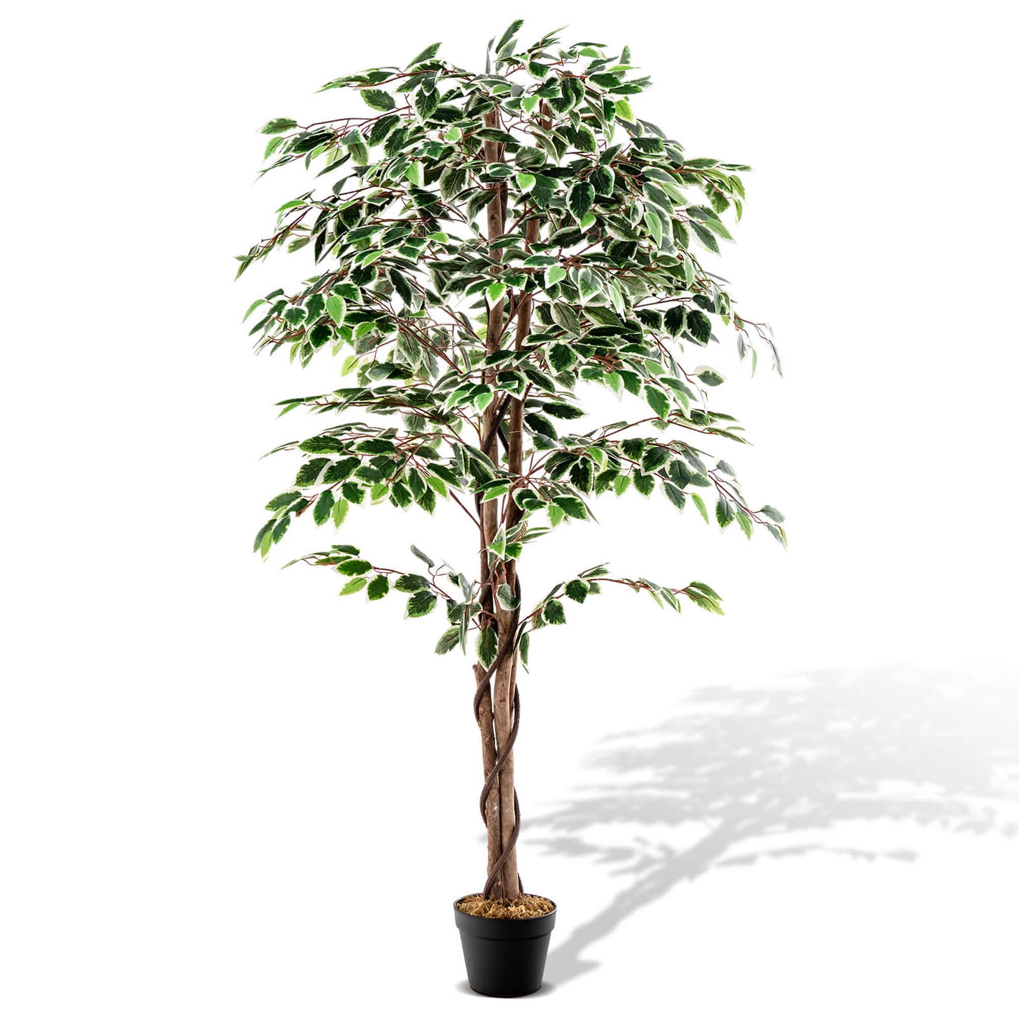 Goplus LWS00460 Modern 7-in Green Plastic Hall Tree