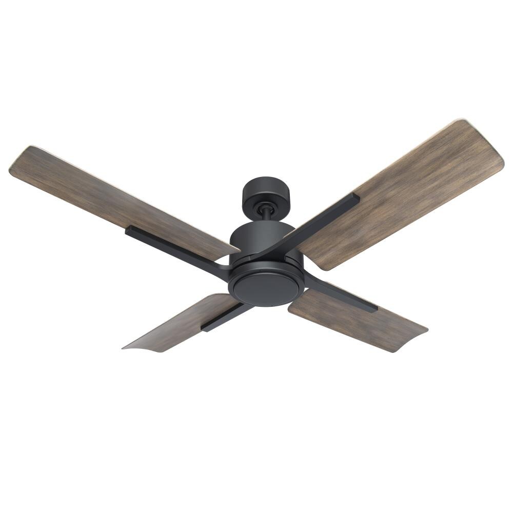 Modern Forms FR-W1806-56L-MB/BW Ceiling-Fans - View #5