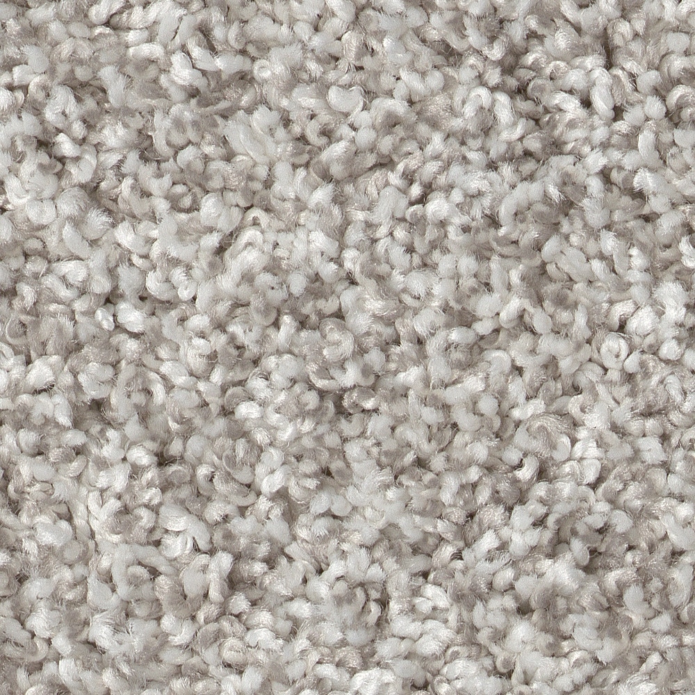 STAINMASTER 7L95200107 Pleasant Surprise I 15 Frozen Brown 43.9-oz sq yard High-performance polyester Textured Indoor Carpet