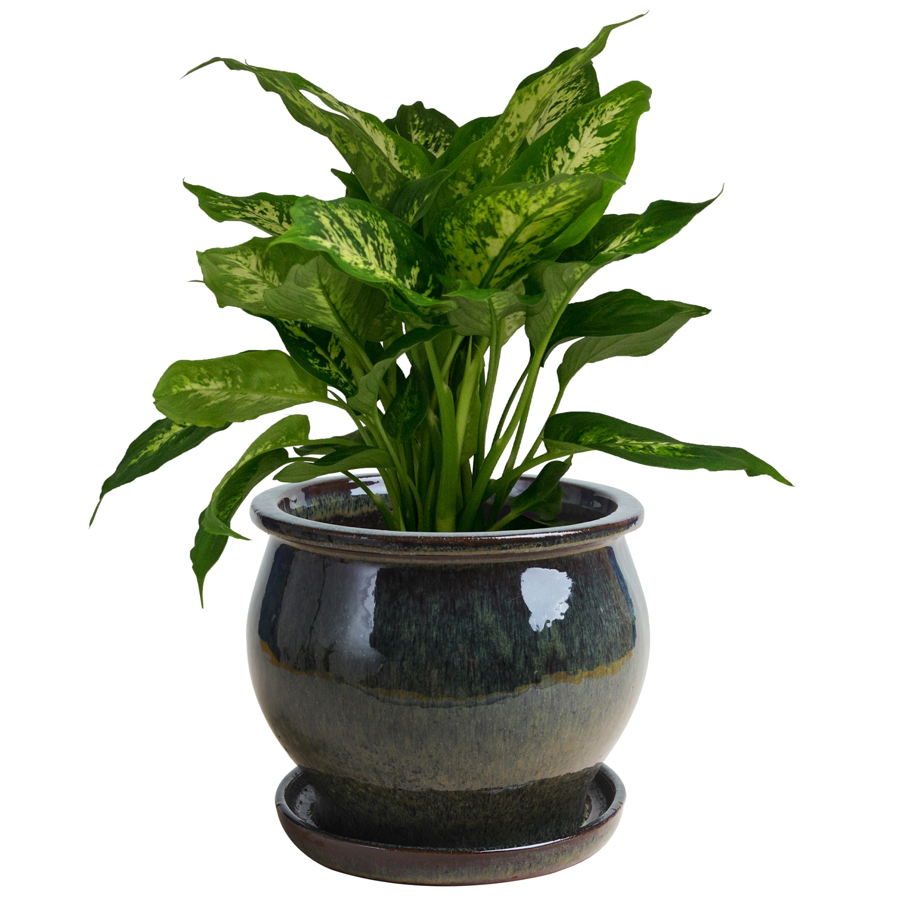 Trendspot LEDB10021-11I Planter-Window-Box - View #4