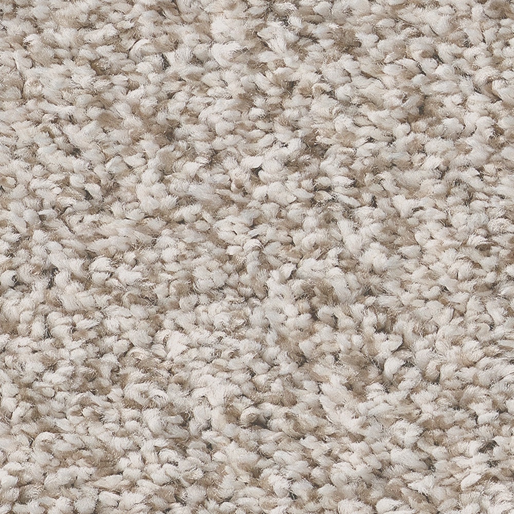 STAINMASTER 7L886 - 103 - SAMP (Sample) Peak Tranquility I Washed Linen Brown 43.9-oz sq yard Polyester Textured Indoor Carpet