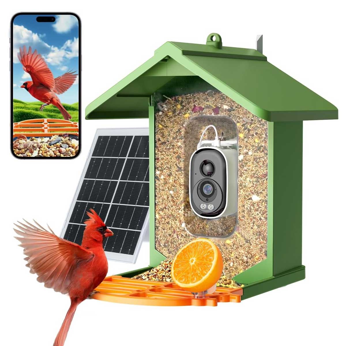Aoibox  Smart Bird Feeder with 2.5K HD Camera AI Bird Species Identifier 5MP Photos Solar Powered 7W 67oz Seed Bin WiFi Wall Mount Green 1 Piece
