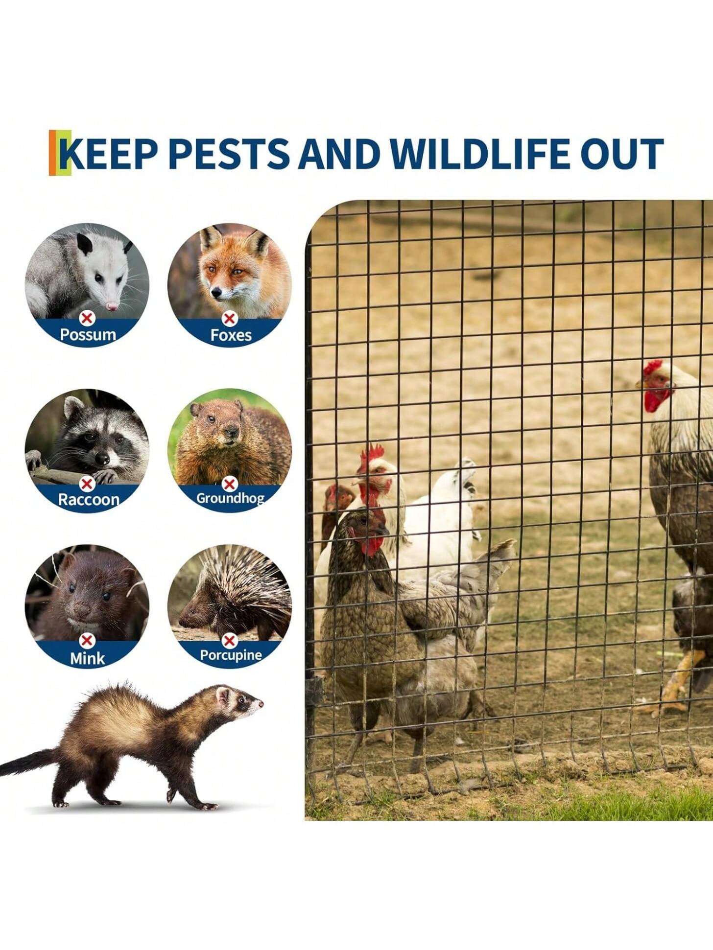 Qeetex BY-PPG-33D8GBZZ Outdoor-Kennel-Accessories - View #3