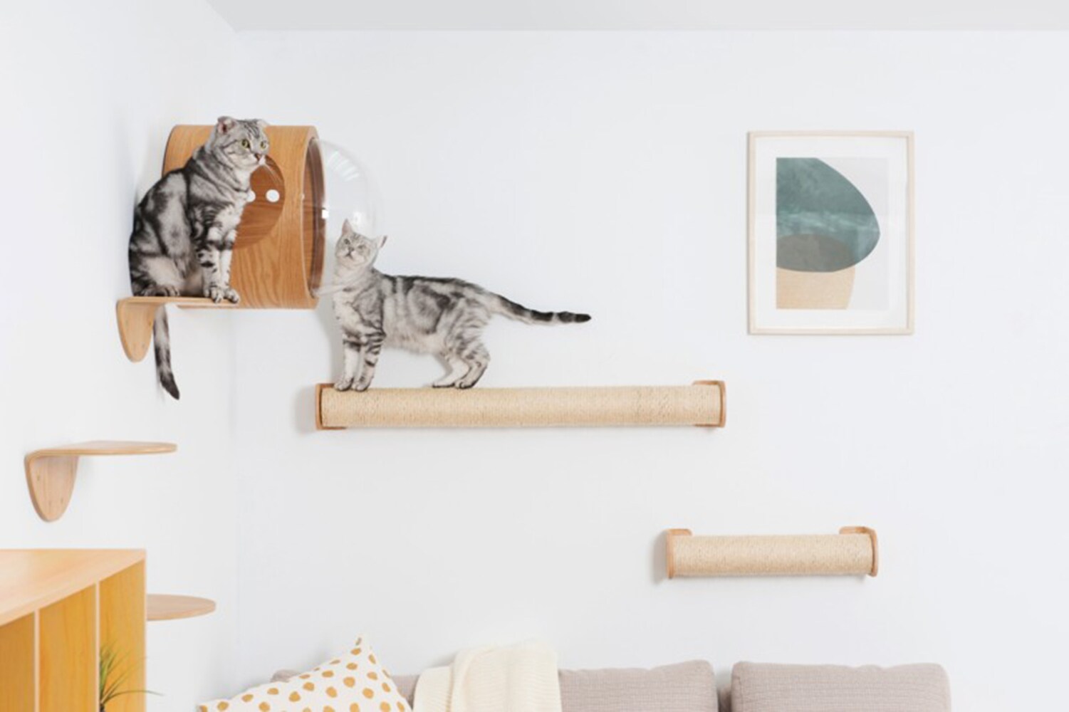 MyZoo MZ-CYLINDER Cat-Trees - View #5