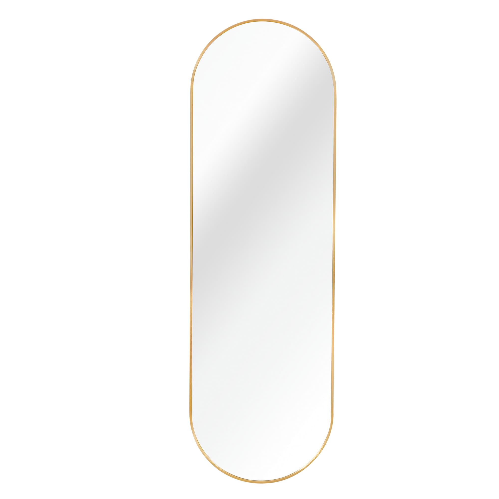 SINOFURN - 20-in W x 63-in H Oval Gold Framed Wall Mirror