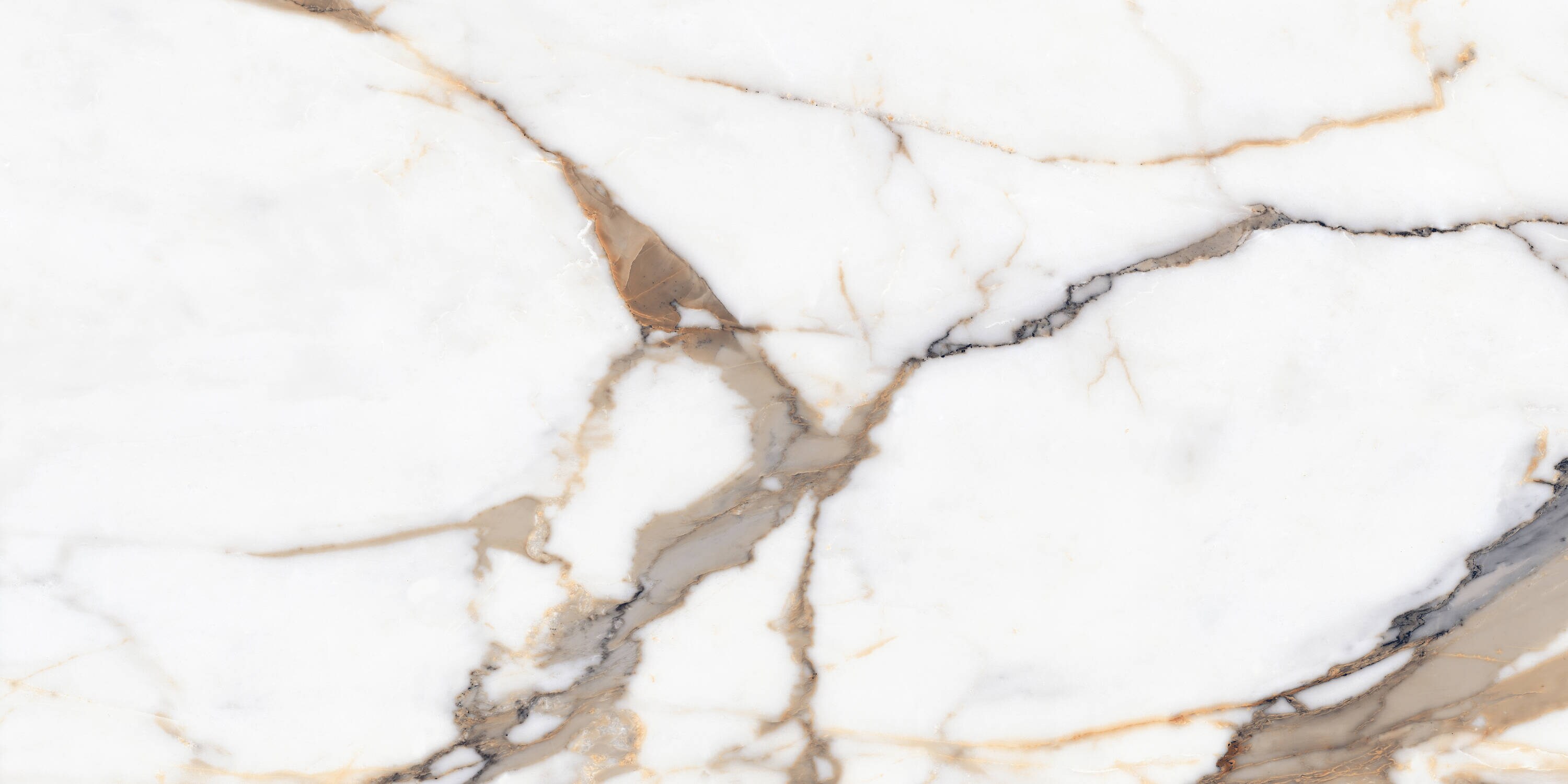 Satori Calacatta Dorado 24-in x 48-in Polished Porcelain Floor and Wall Tile (7.75-sq. ft/ Piece)