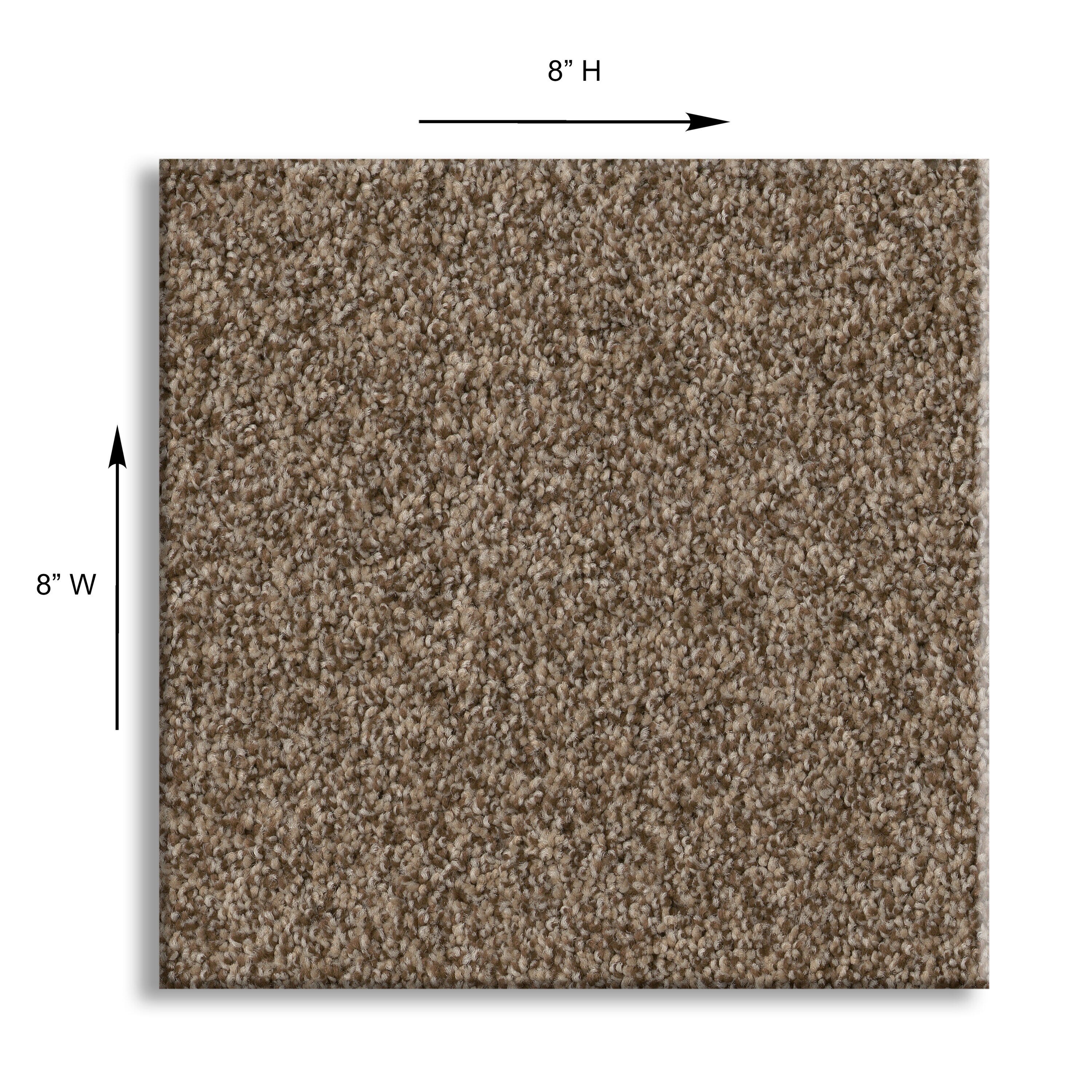 STAINMASTER PetProtect 7L858 - 716 - SAMP Carpet-Samples - View #9