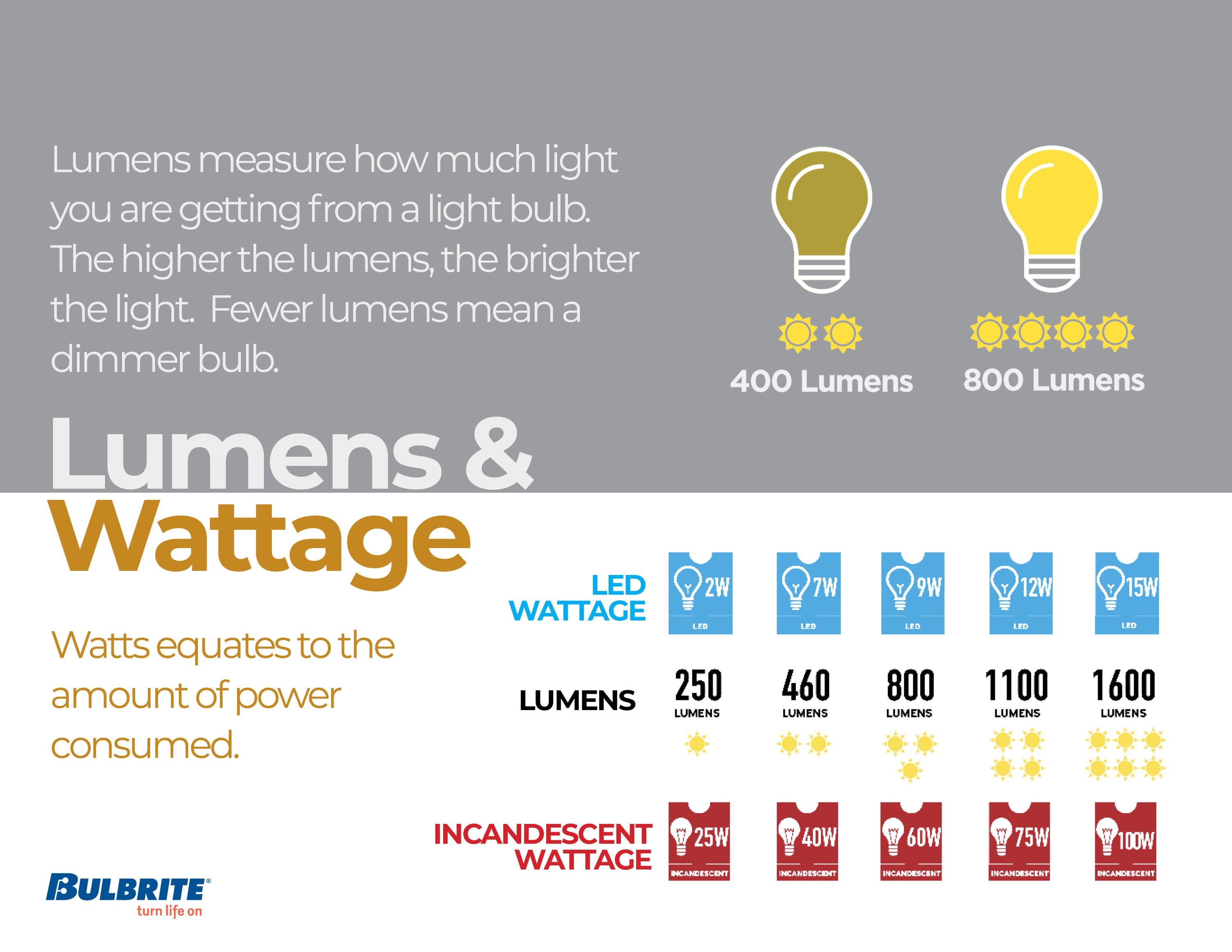 Bulbrite 861120 Specialty-Light-Bulbs - View #5