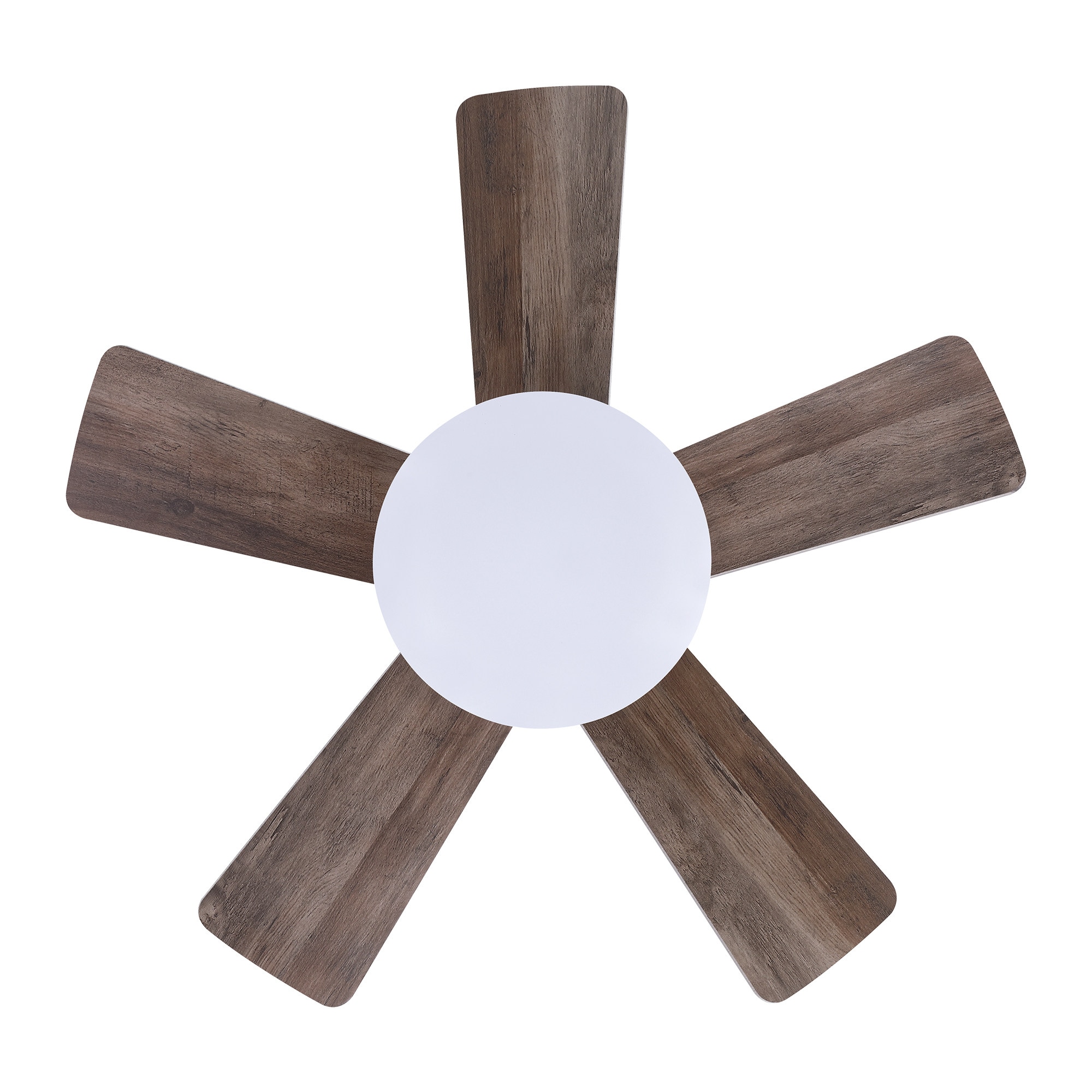Parrot Uncle F8283NBR110V Ceiling-Fans - View #10