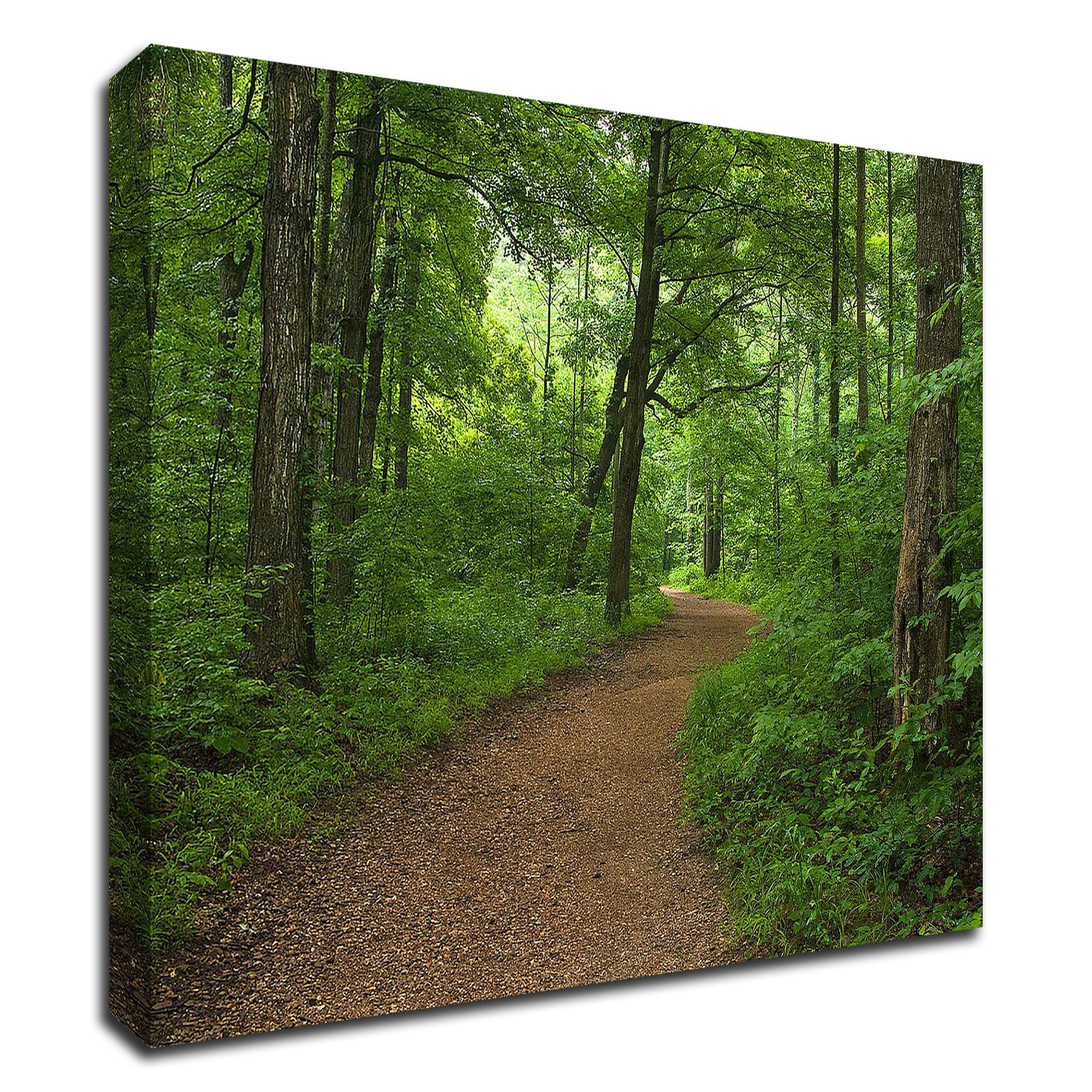 Tangletown Fine Art 8H1531DC-1814 Summer Walk David Hammond 14-in H x 18-in W Photography Print on Canvas