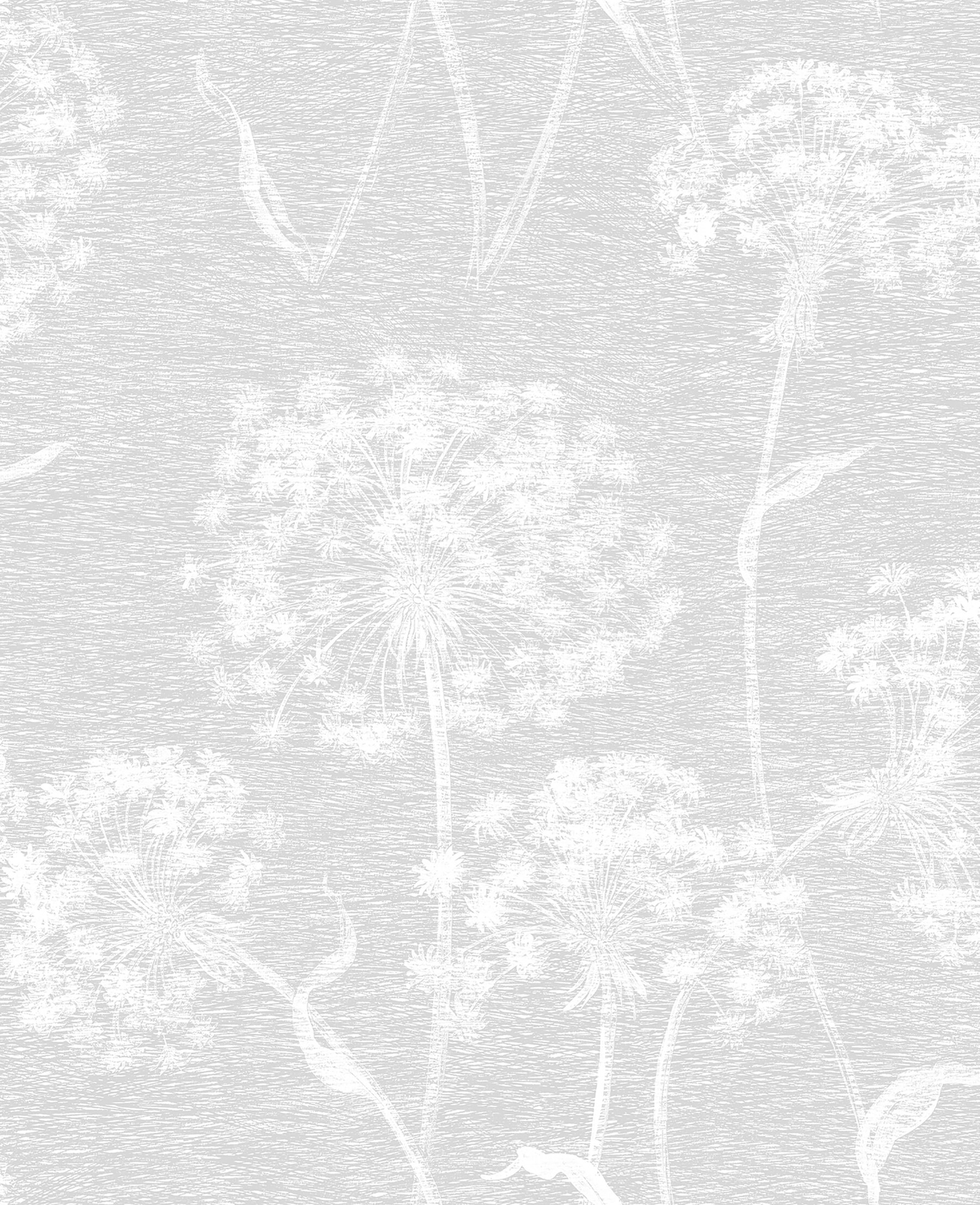 Advantage Garvey Light Grey Dandelion Wallpaper in the Wallpaper department  at 