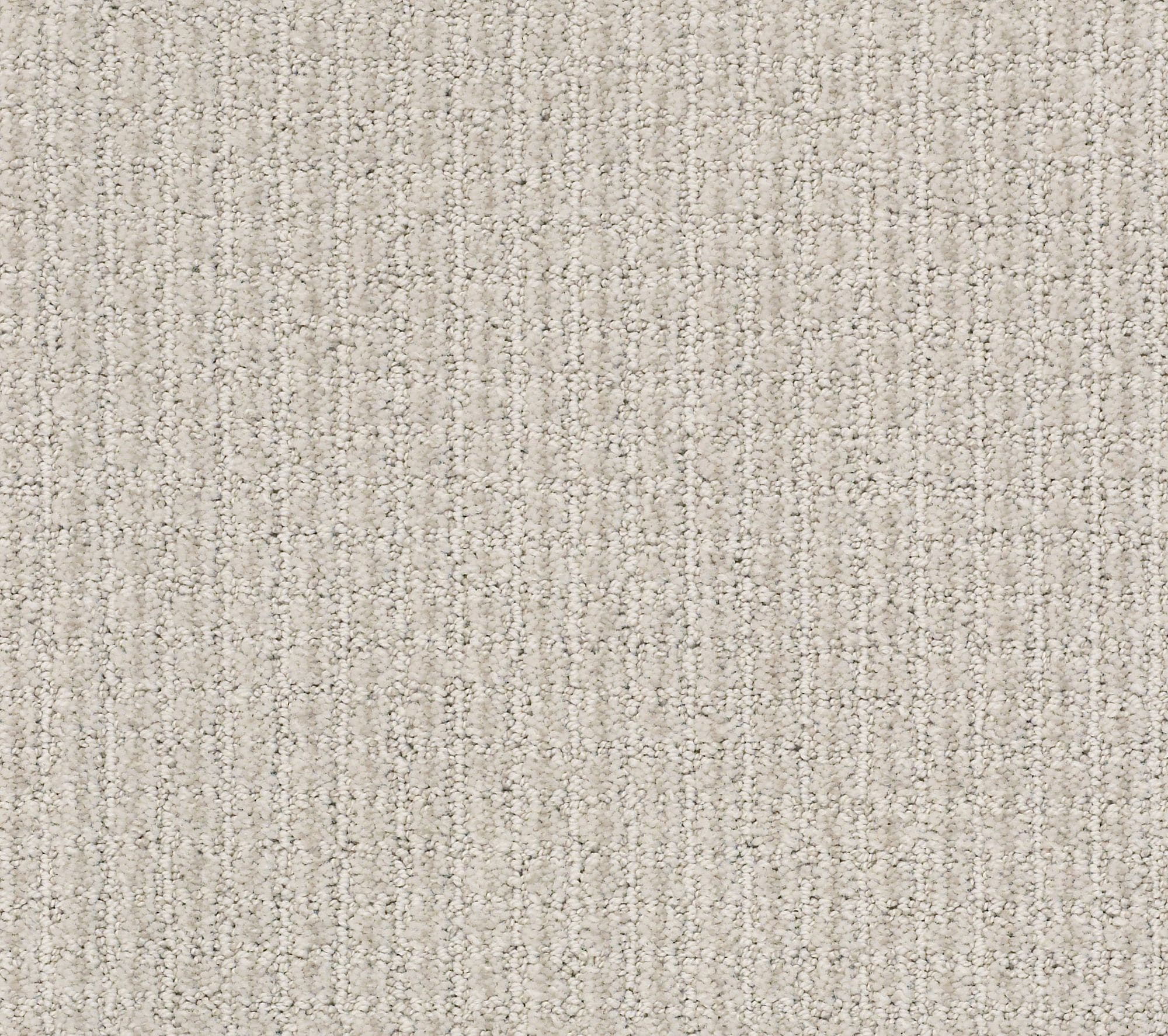 STAINMASTER PetProtect 7L88500501 Pawsh Party Haze Gray 29.2-oz sq yard Nylon Pattern Indoor Carpet