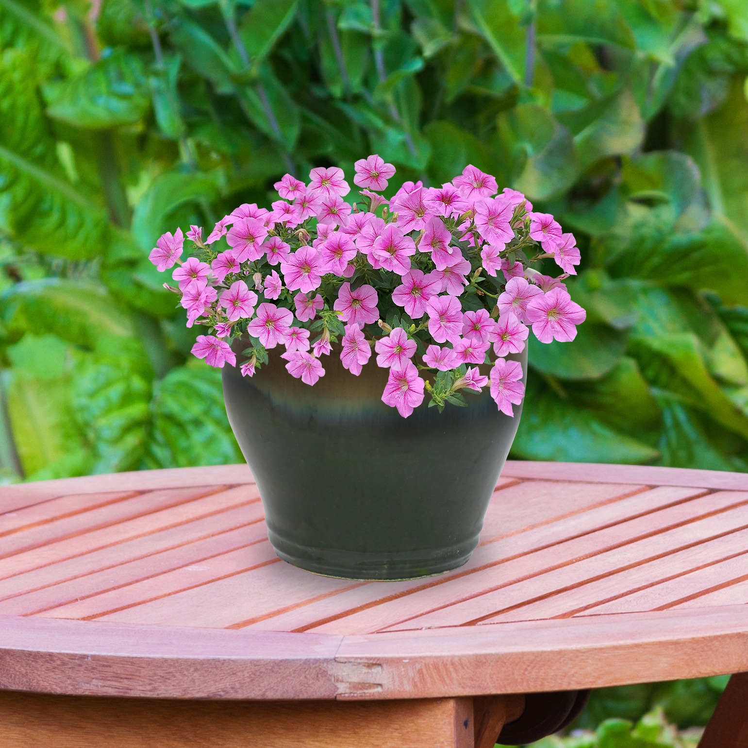 Sunnydaze Decor AP-964 Planter-Window-Box - View #9