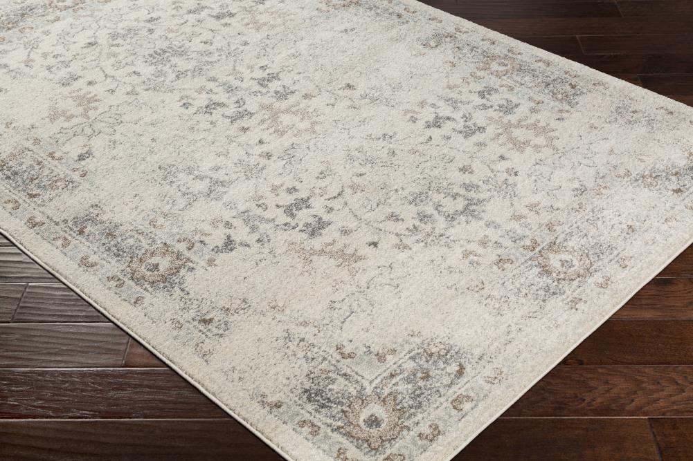 Surya CSA2321-710103 rugs - View #6