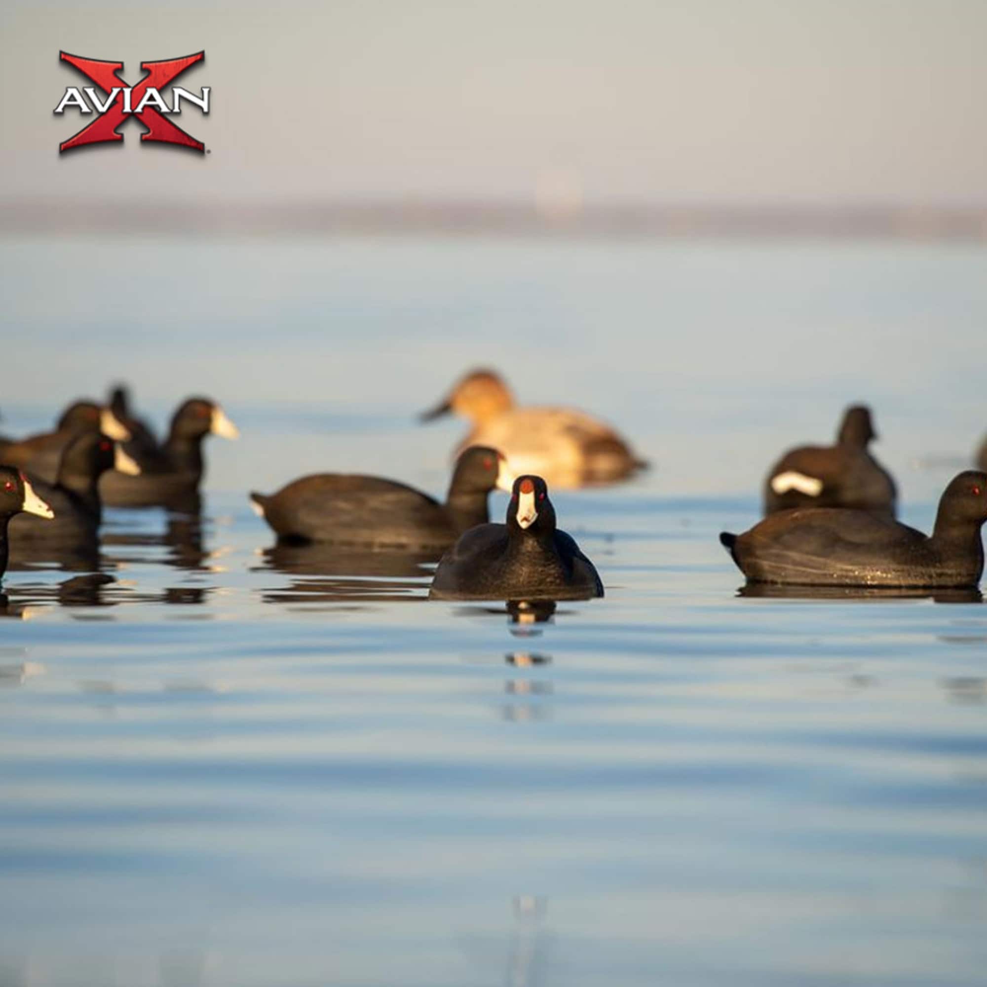  Avian X 399287 Hunting-Equipment - View #6