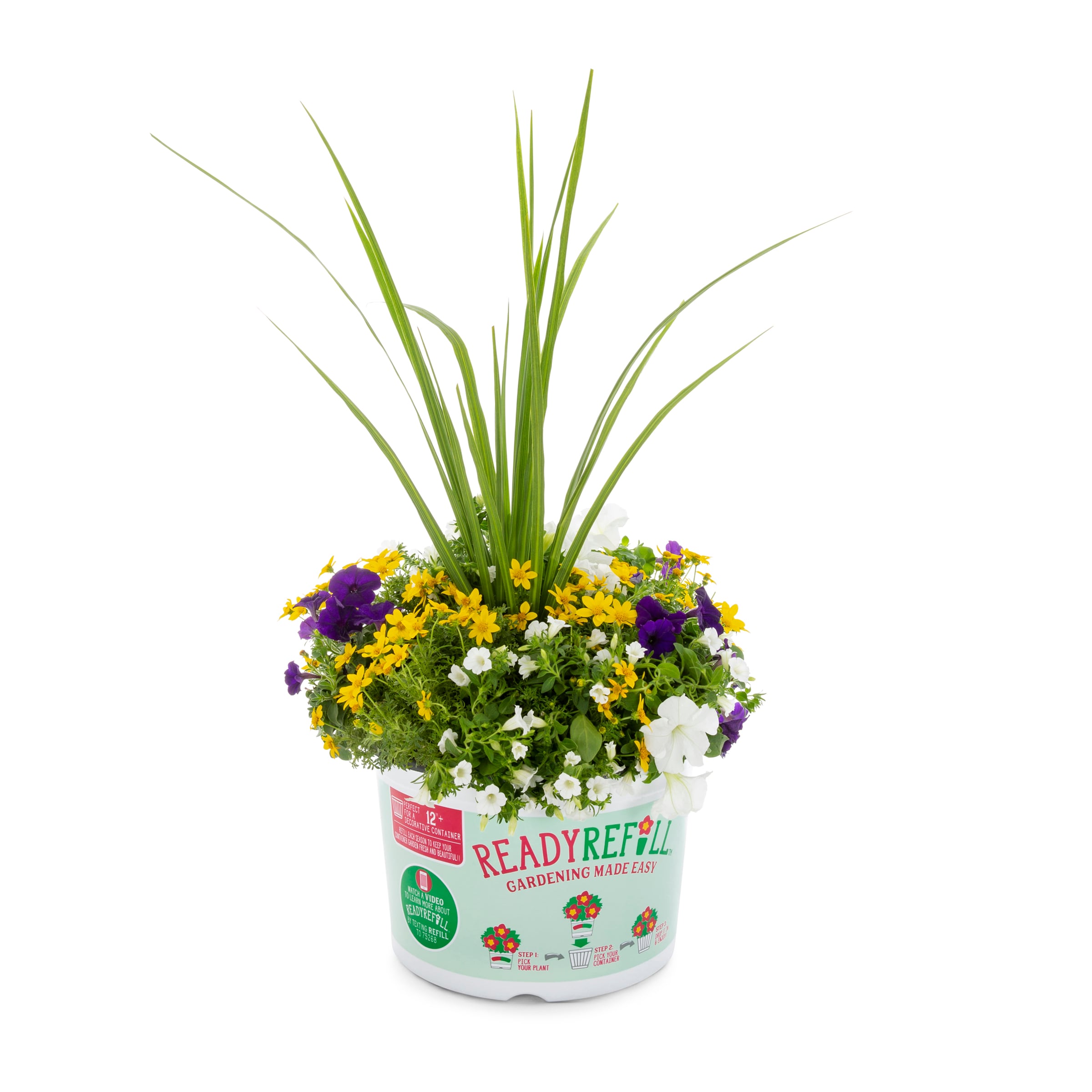 Ready Refill Multicolor Mixed Annuals Combinations In 1.5-gallon Pot In 