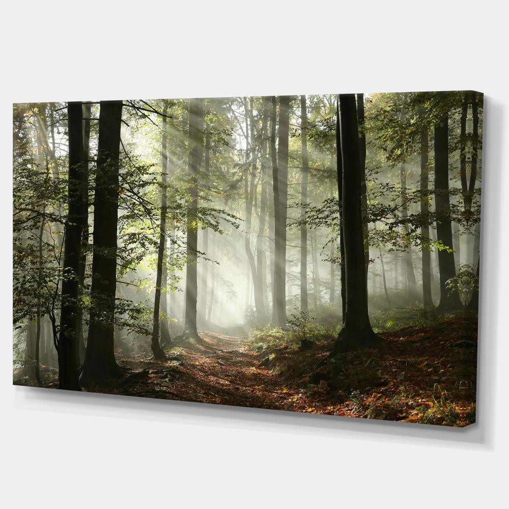 Designart 20-in H x 40-in W Landscape Print on Canvas in the Wall Art ...