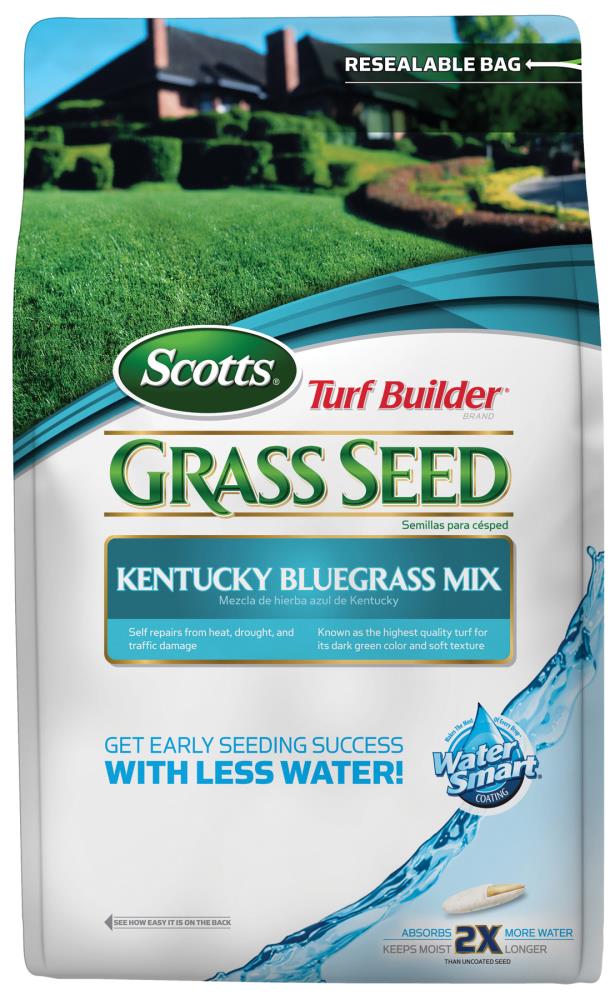 Scotts 18166 Turf Builder 3-lb Bluegrass Grass Seed