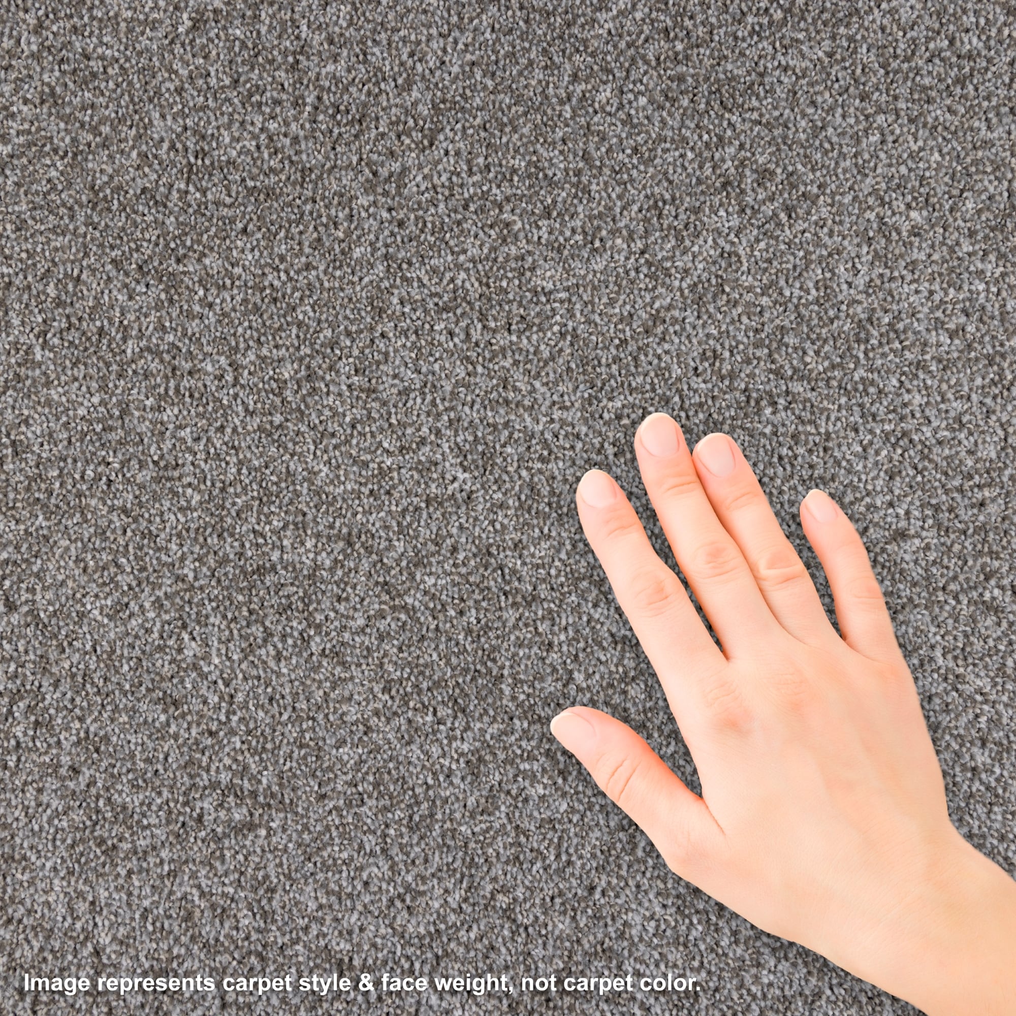 STAINMASTER L5019-1805-1200-AB Carpet-Panel - View #4