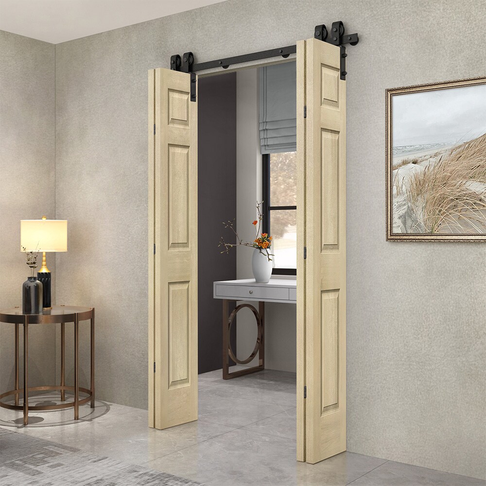 CALHOME 1905-4S+6P36-DWSC(2 Barn-Doors - View #2