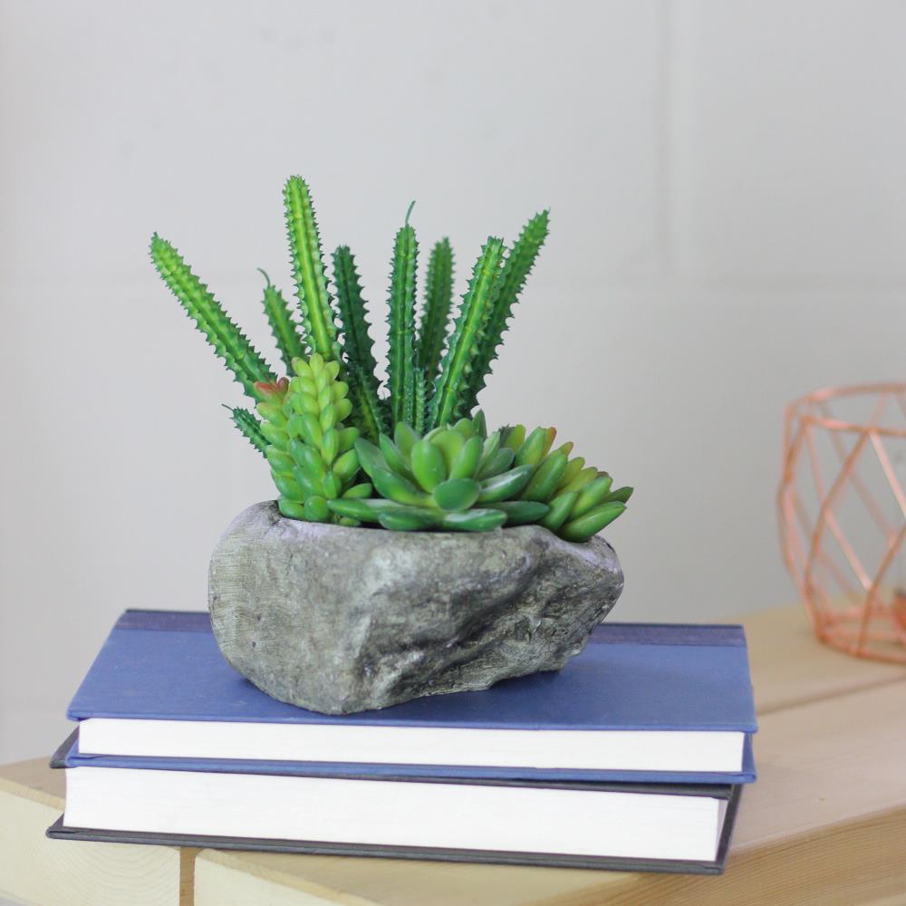 Northlight 6.5-in Green Artificial Succulent Plants at Lowes.com