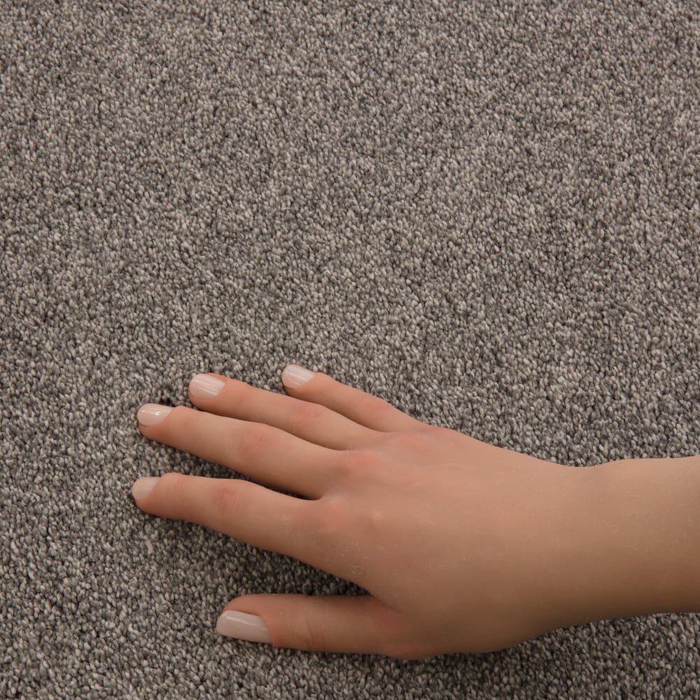 STAINMASTER PetProtect 7L937-722-SAMP Carpet-Samples - View #4