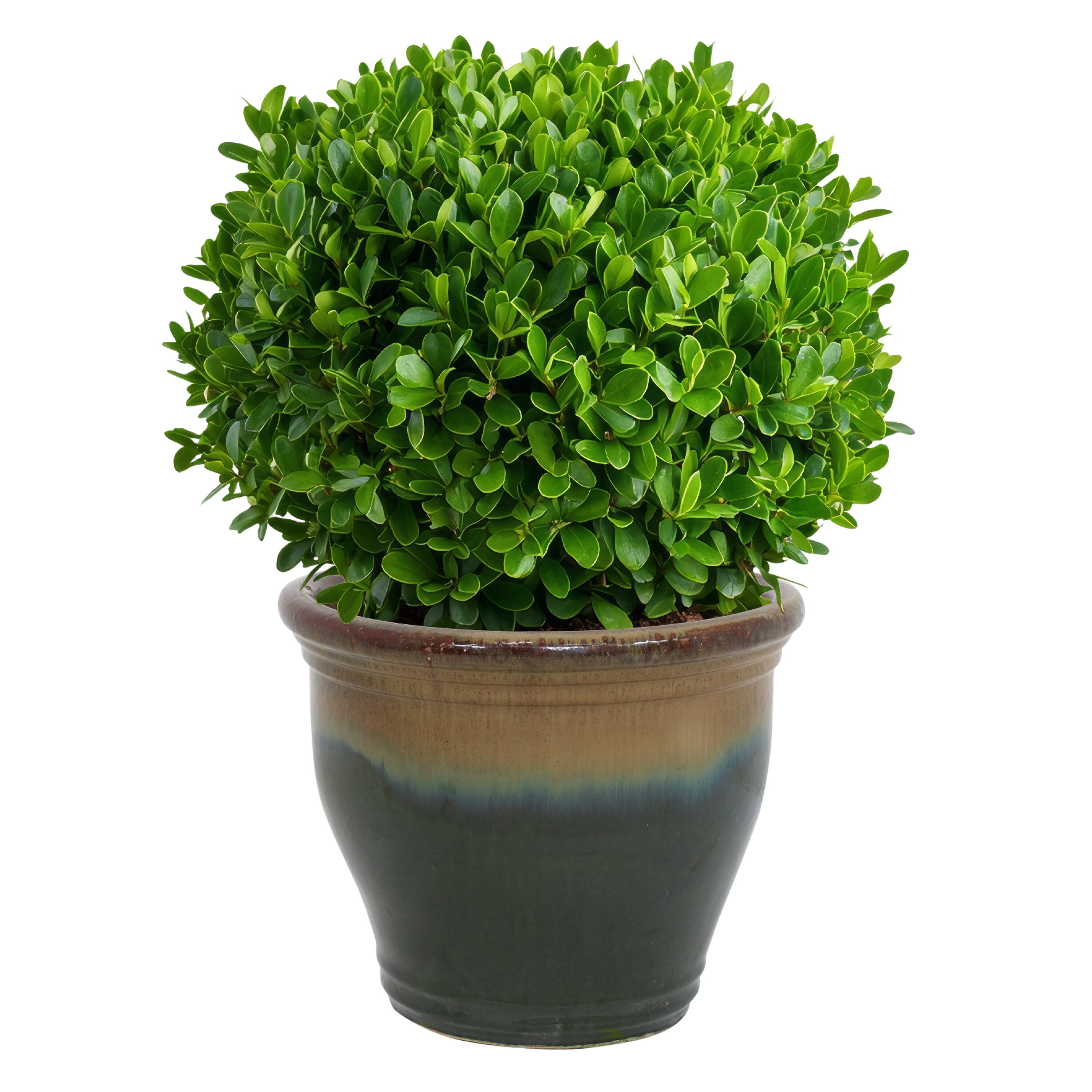 Sunnydaze Decor AP-964 Planter-Window-Box - View #8