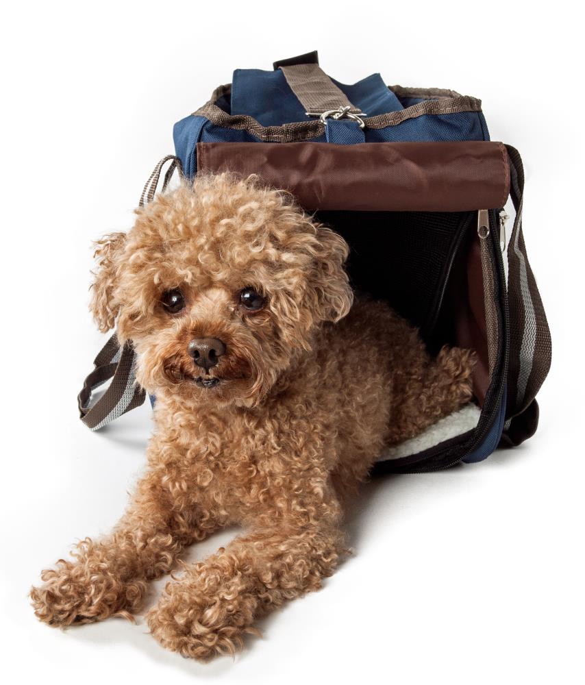 Pet Life B21BLMD Pet-Carriers - View #2