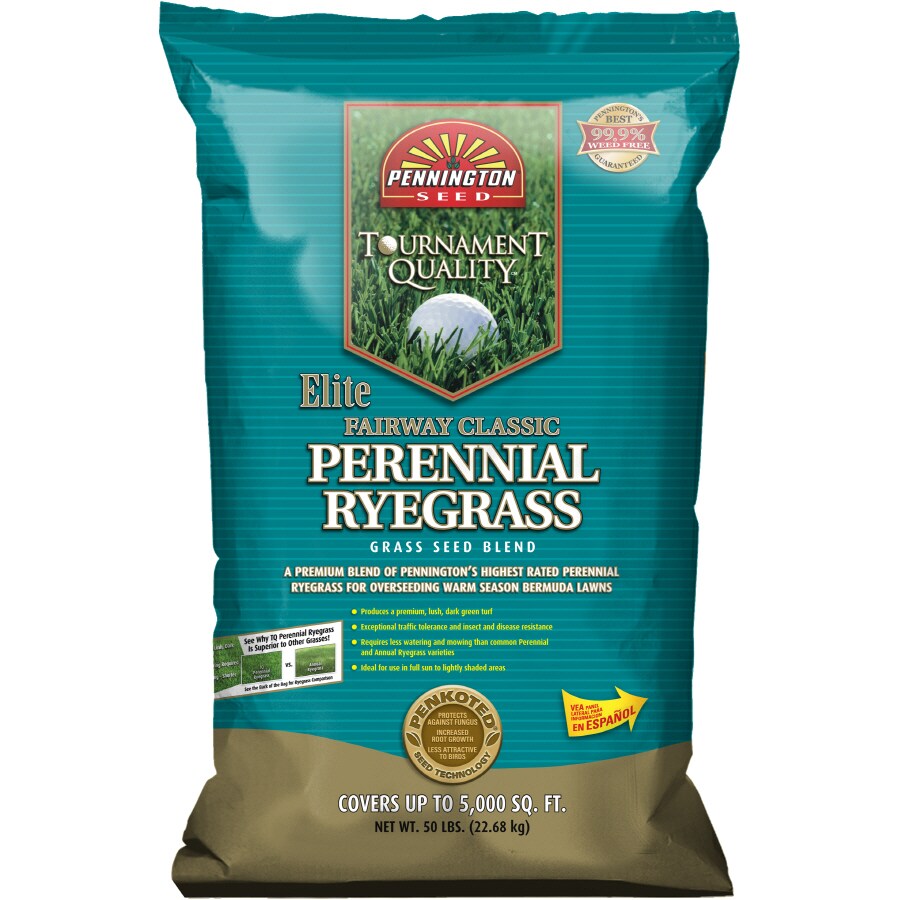 Pennington 30021496220124 Fairway Classic 50-lb Perennial Ryegrass Grass Seed