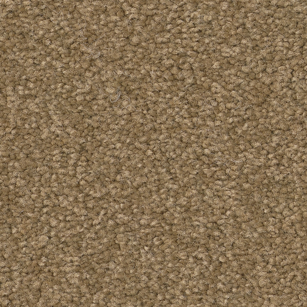 STAINMASTER PetProtect 7L88300700 Best Of Breed III Twig Basket Brown 68.2-oz sq yard Nylon Textured Indoor Carpet