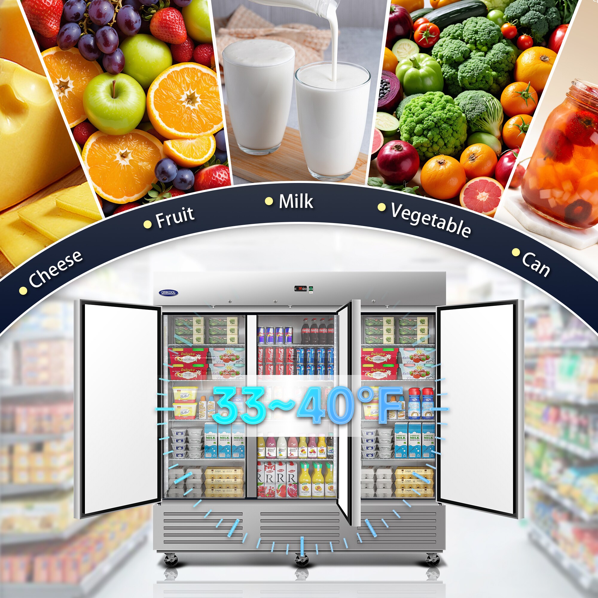 Dexmalle W2095P368663 Commercial-Refrigerators - View #5