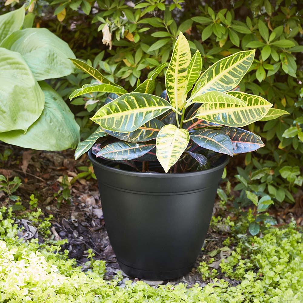 Style Selections HA0624BK Planter-Window-Box - View #4
