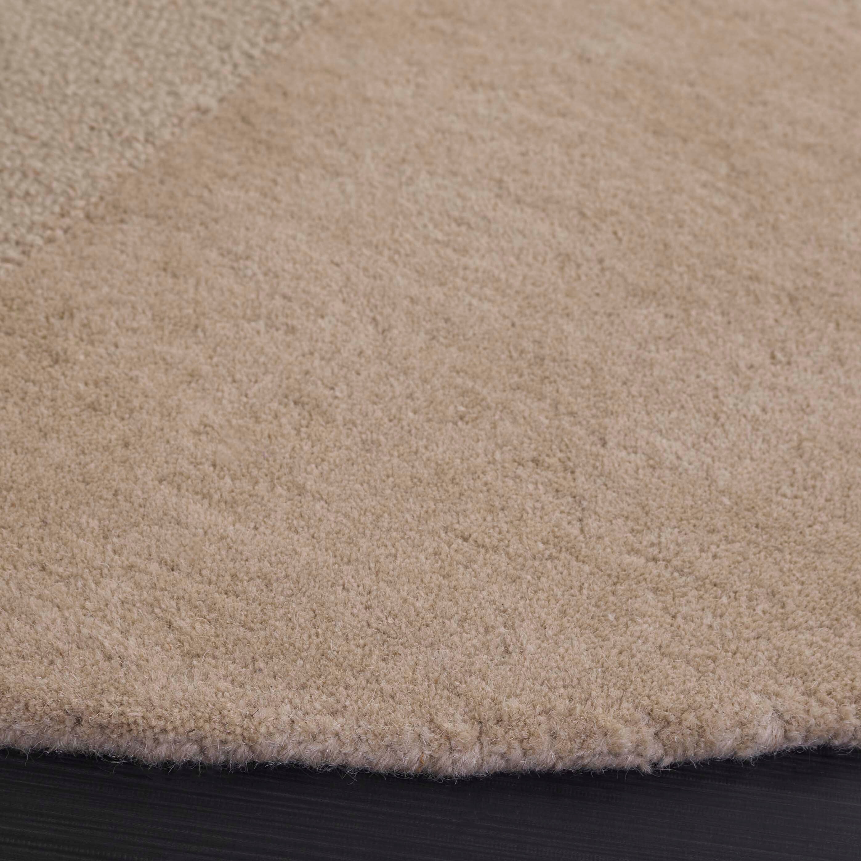 Safavieh FTV252B-6R rugs - View #3