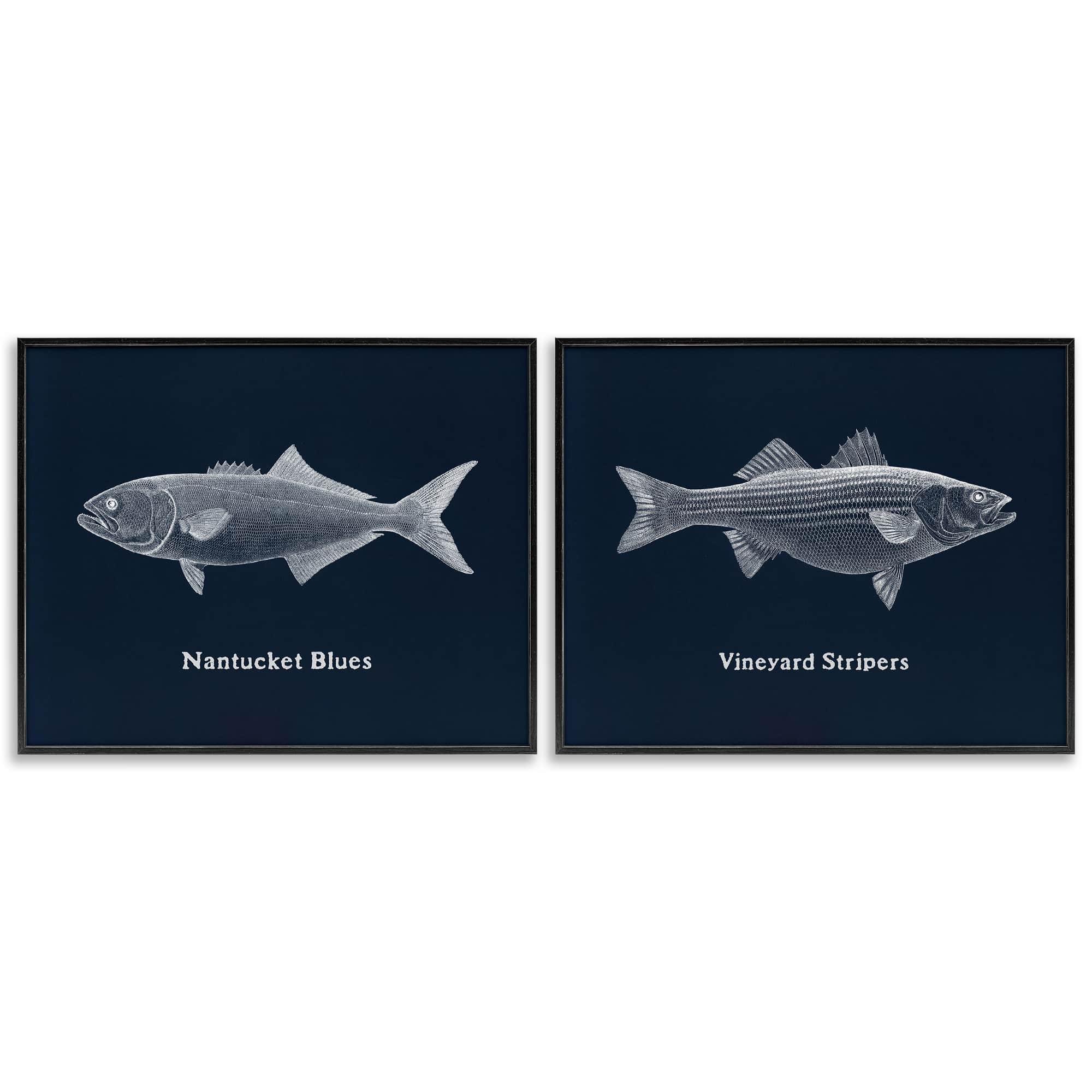 Stupell Industries B2-818-FR-2PC-24X30 Harbor Fish Phrases 2 Piece Black Framed Giclee Art Set By Phillipa Katz 30 x 24