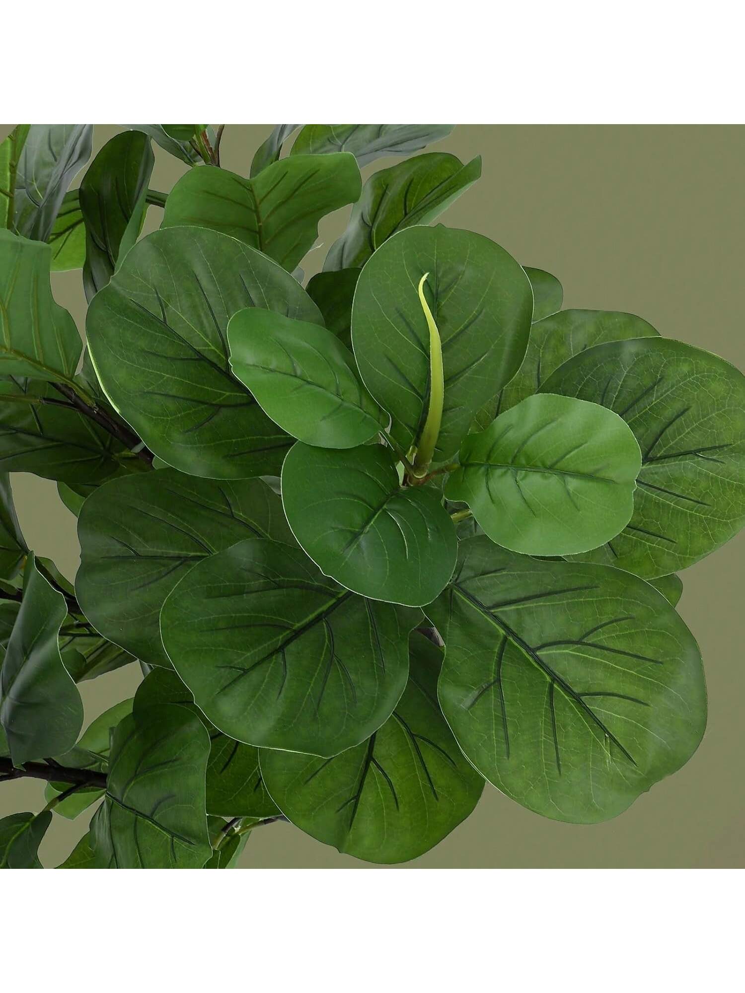 Qeetex PHO-0YY8DFXF-HF4 Decorative-Accessories - View #3
