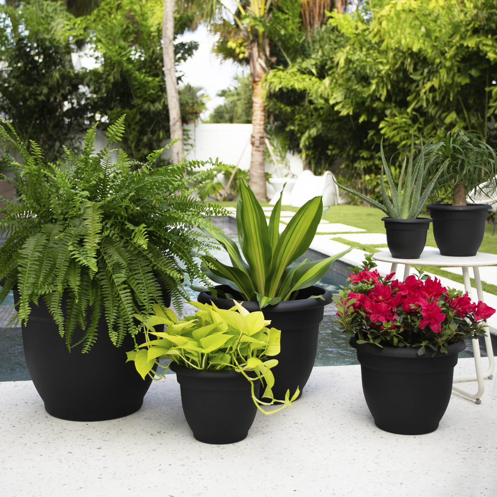 Bloem 20-56916 Planter-Window-Box - View #2