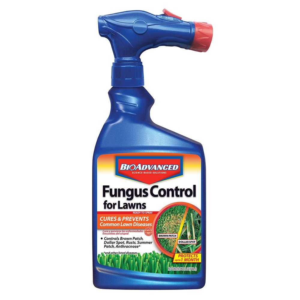 Bioadvanced 32 Fl Oz Concentrated Moss Control In The Moss Algae Fungus Control Department At Lowes Com