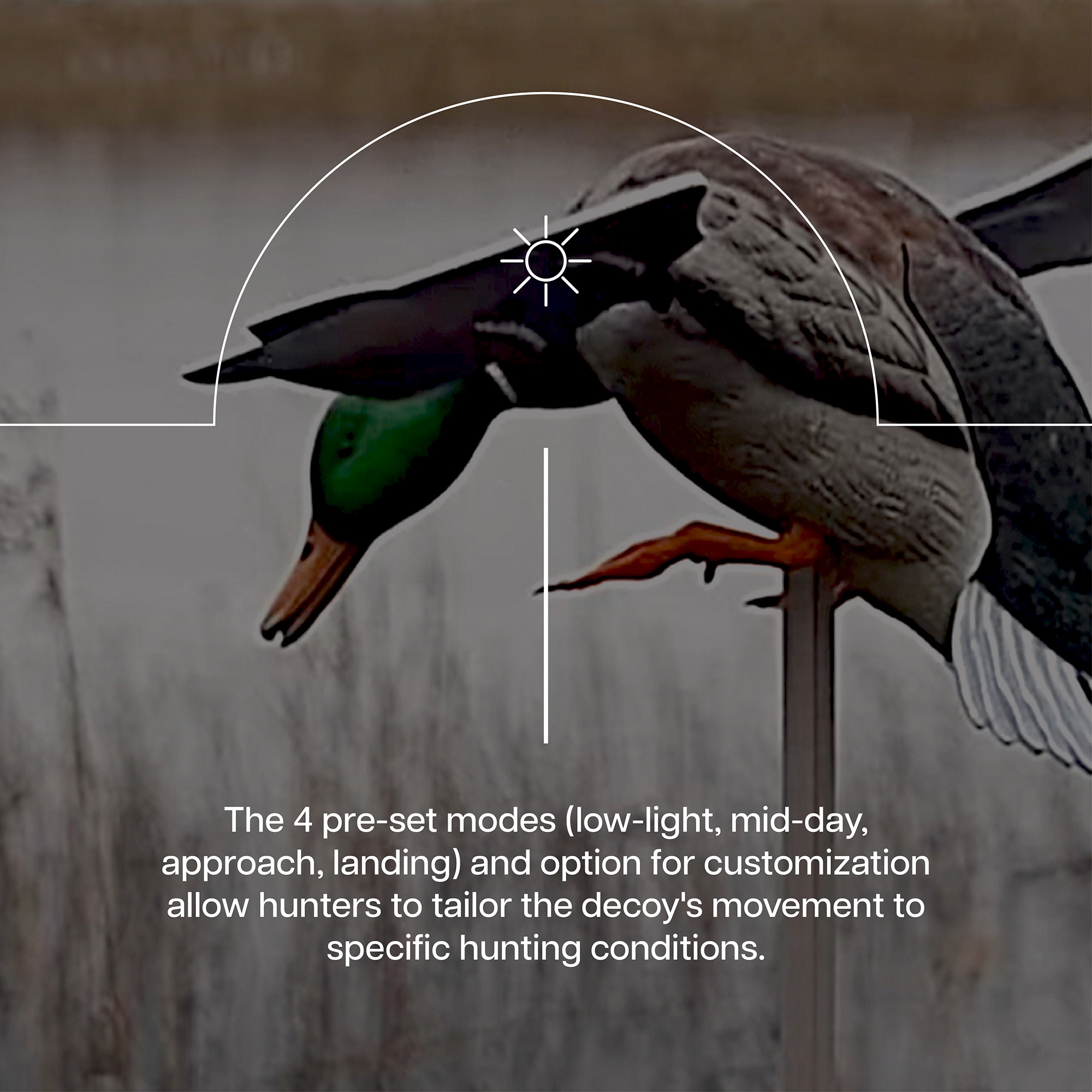 Realistic Mallard Duck Decoy with Spinning Wings