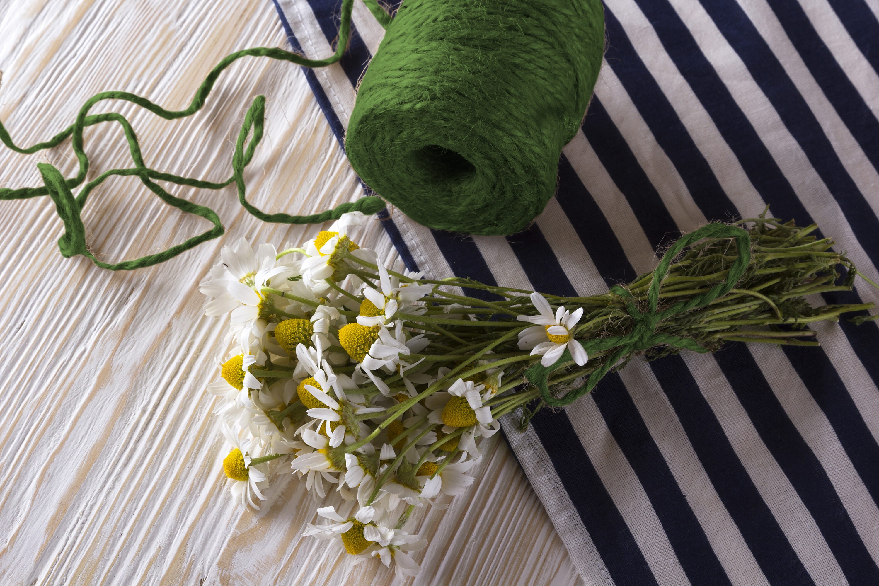  86840L String-Twine - View #4