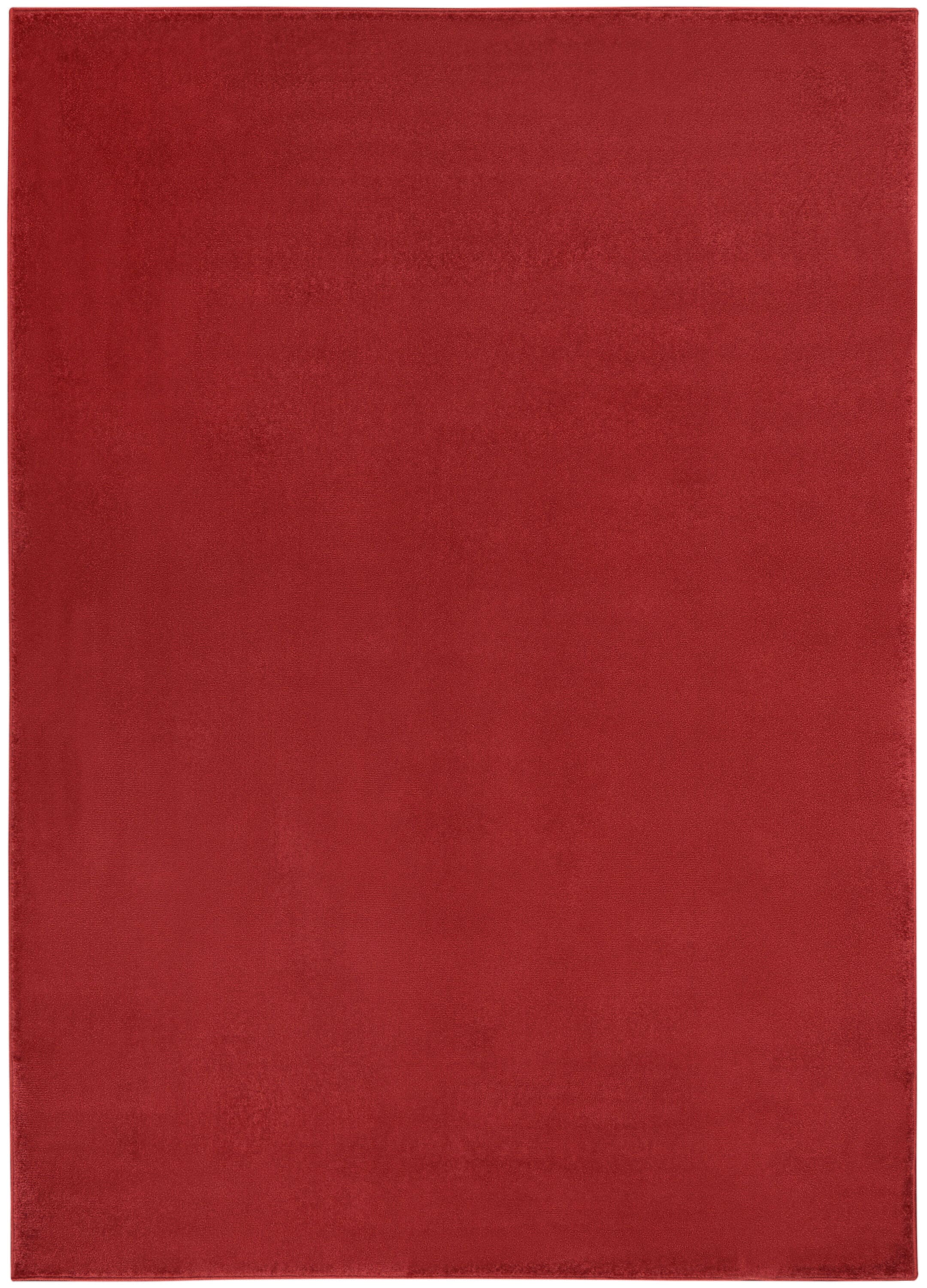 Nourison 099446823359 rugs - View #2